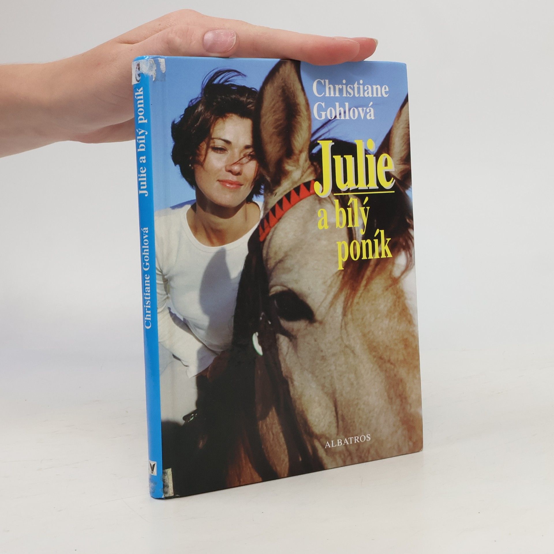 Christiane Gohl Julie a bílý poník