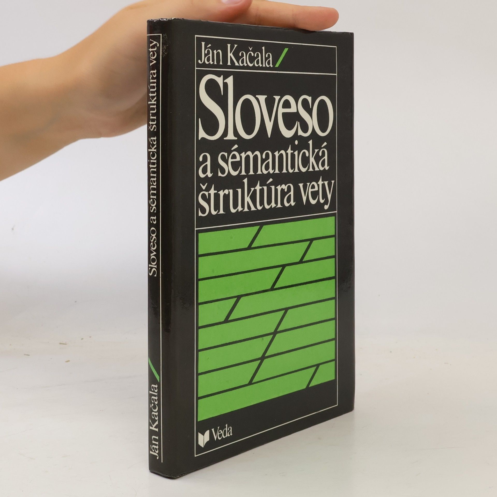 Sloveso a sémantická štruktúra vety