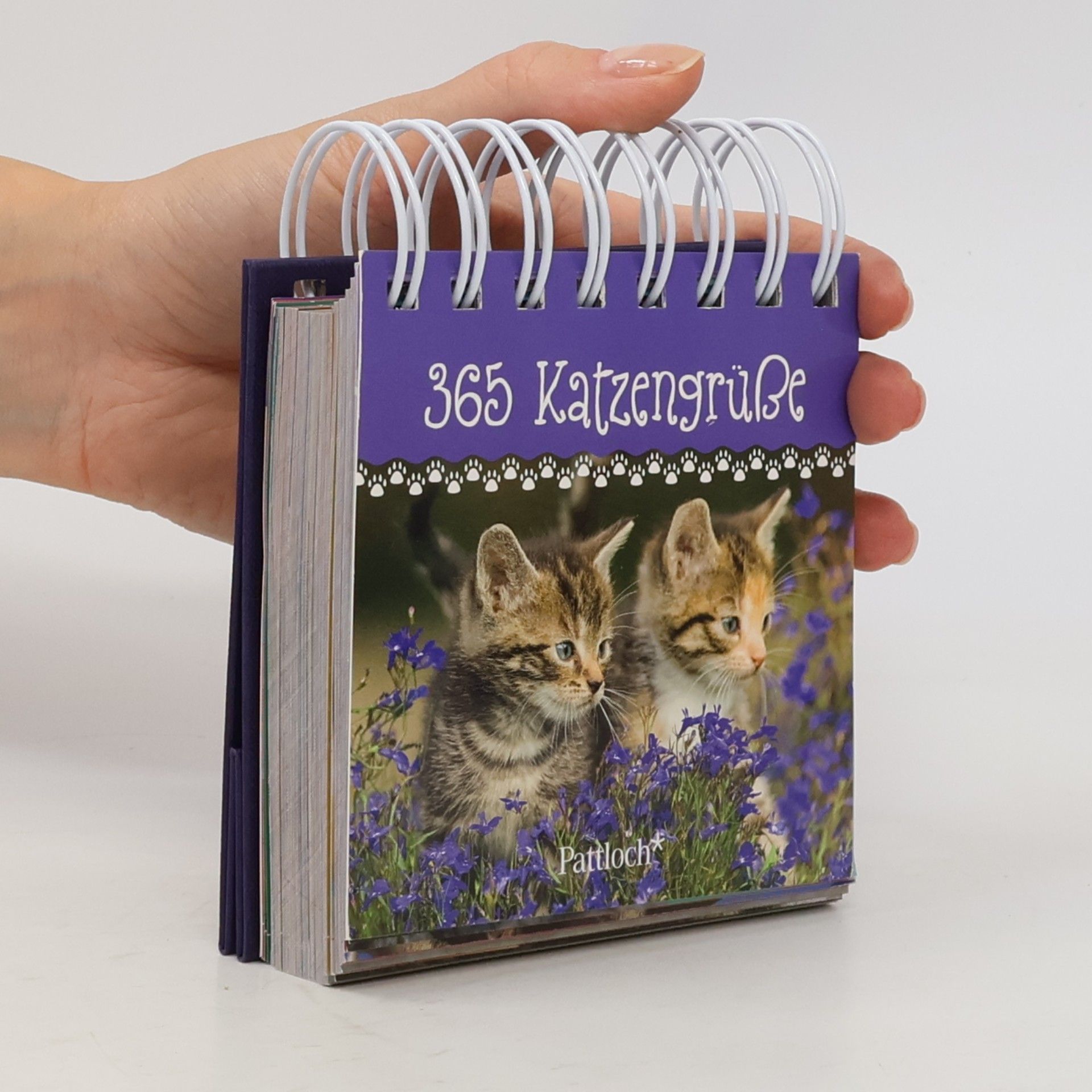 Pattloch 365 Katzengrüße