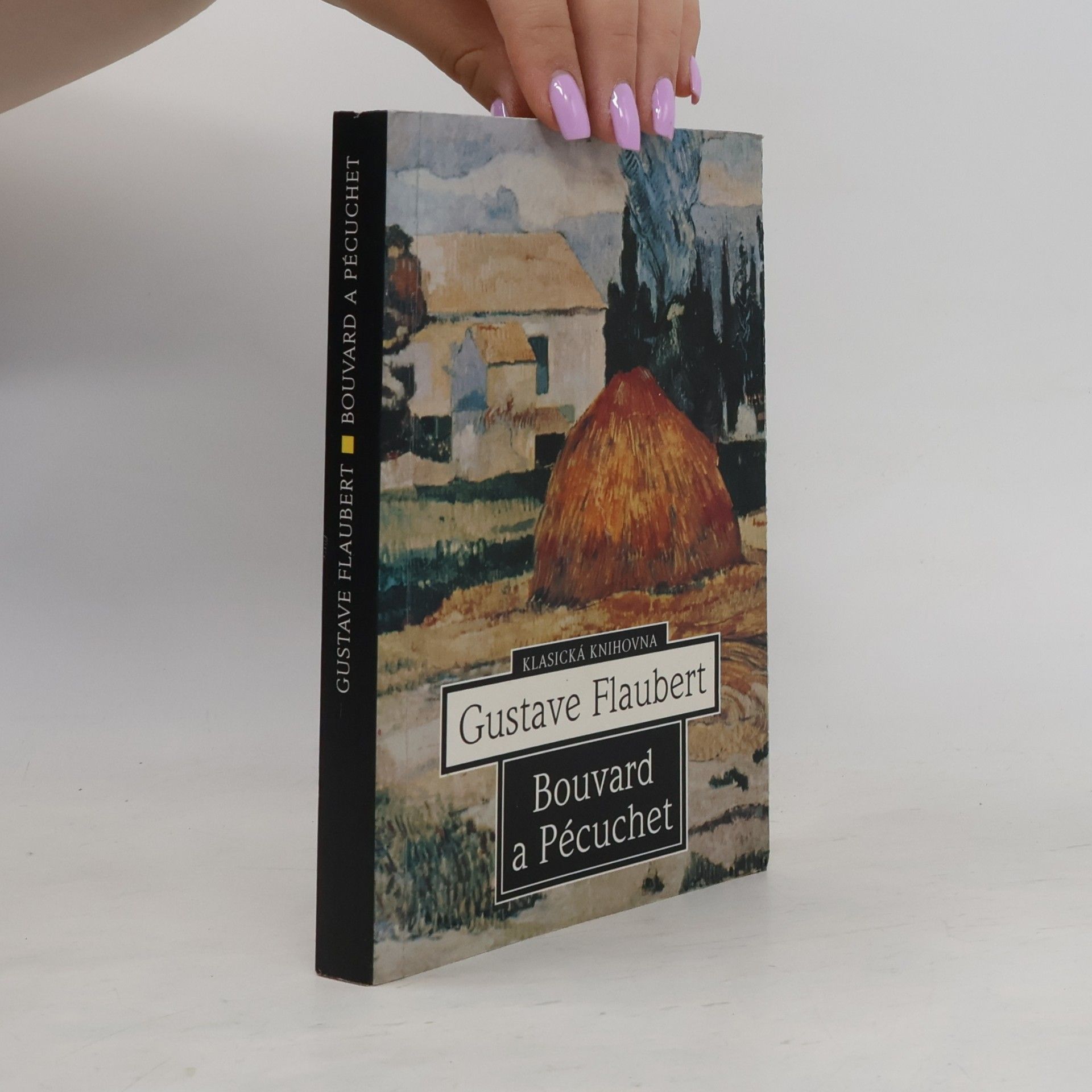 Gustave Flaubert Bouvard a Pécuchet