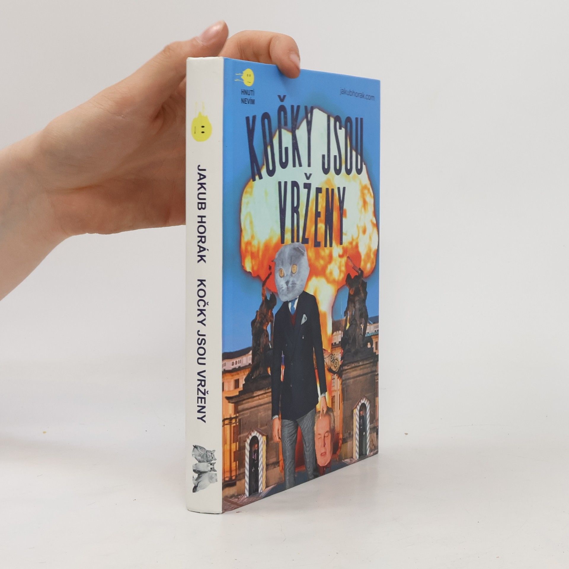 Jakub Horák Kočky jsou vrženy: Fantastický román