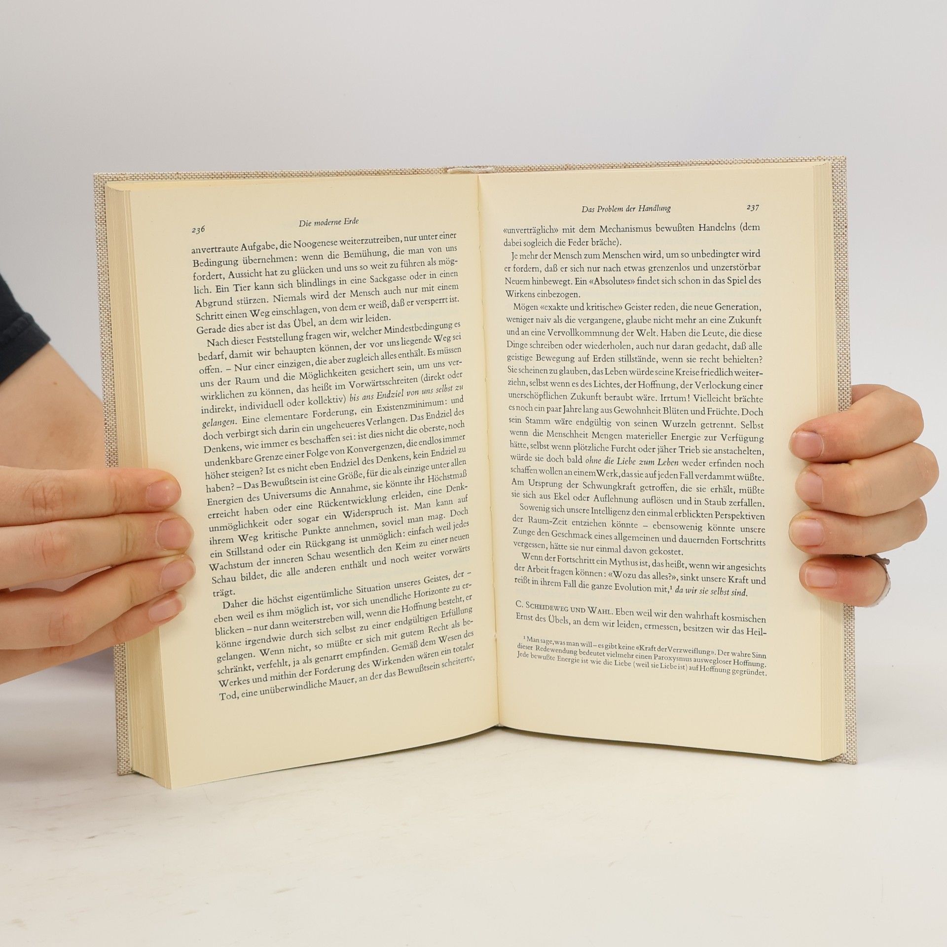Pierre Teilhard de Chardin Der Mensch im Kosmos