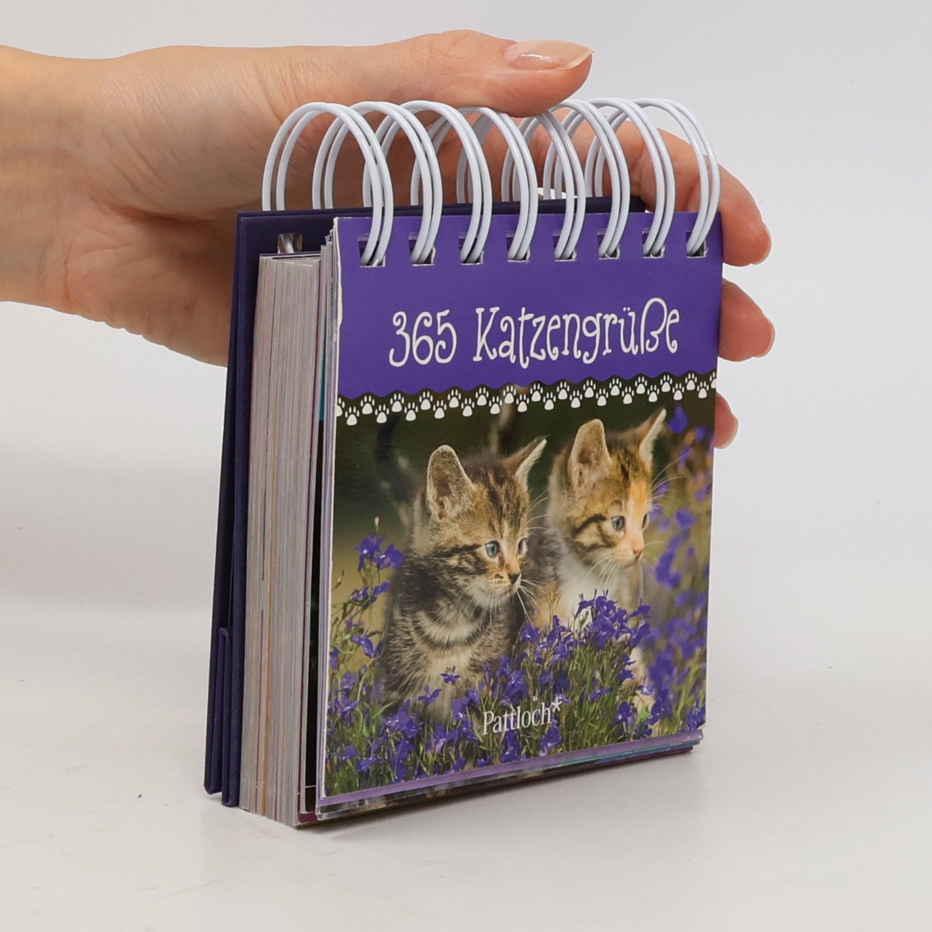 Pattloch 365 Katzengrüße