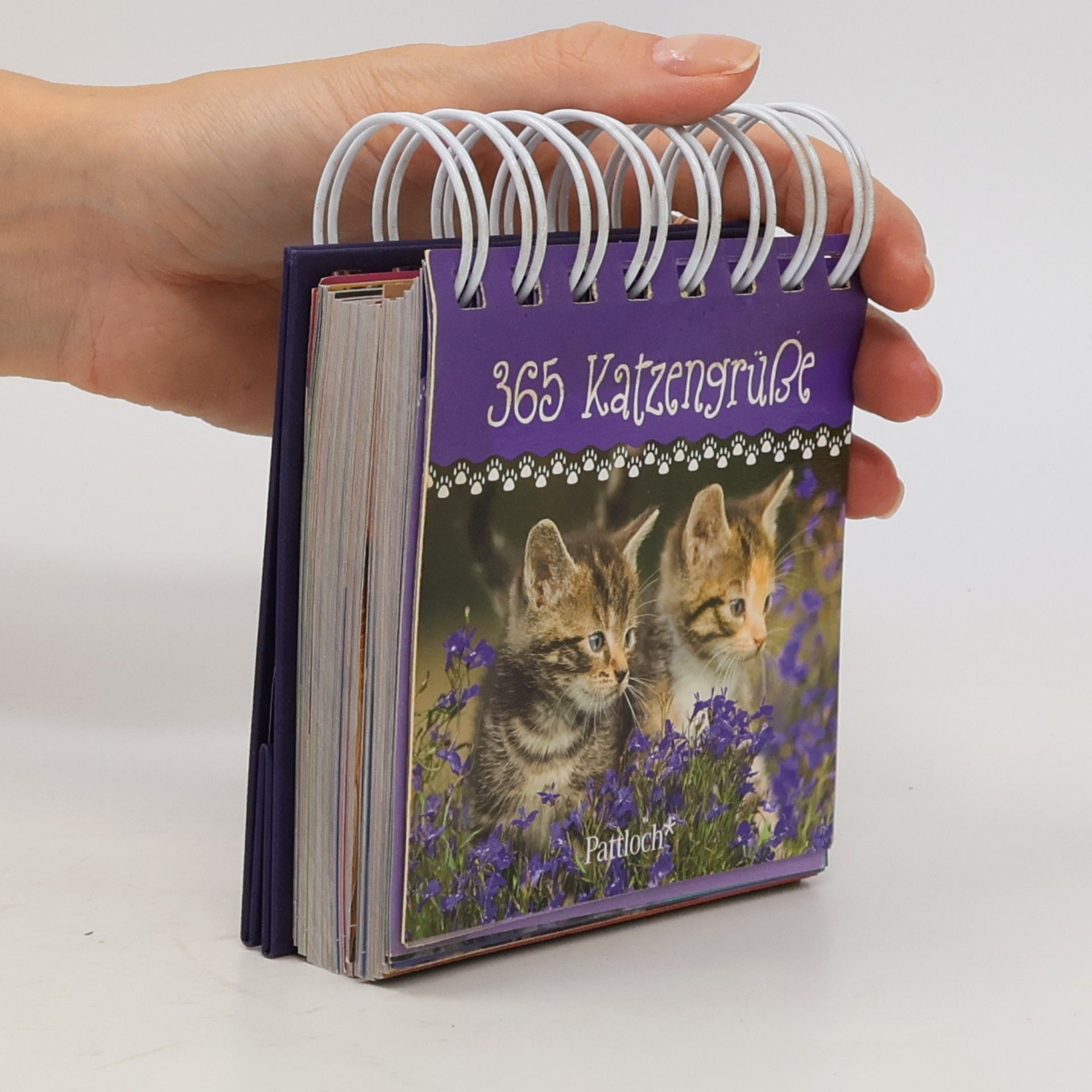 365 Katzengrüße