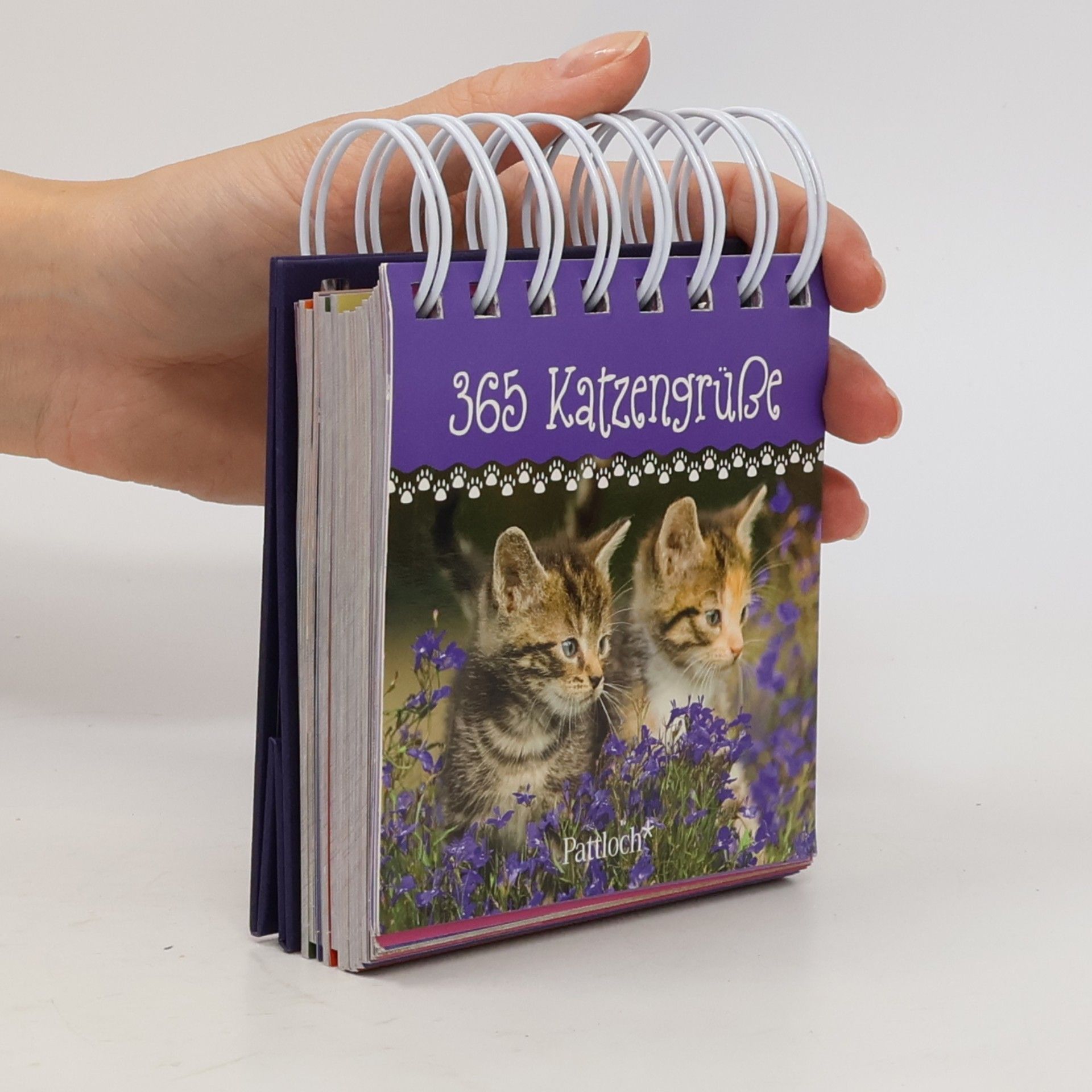 Pattloch 365 Katzengrüße