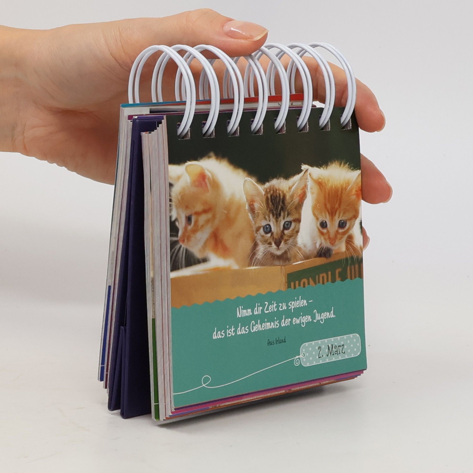 Pattloch 365 Katzengrüße