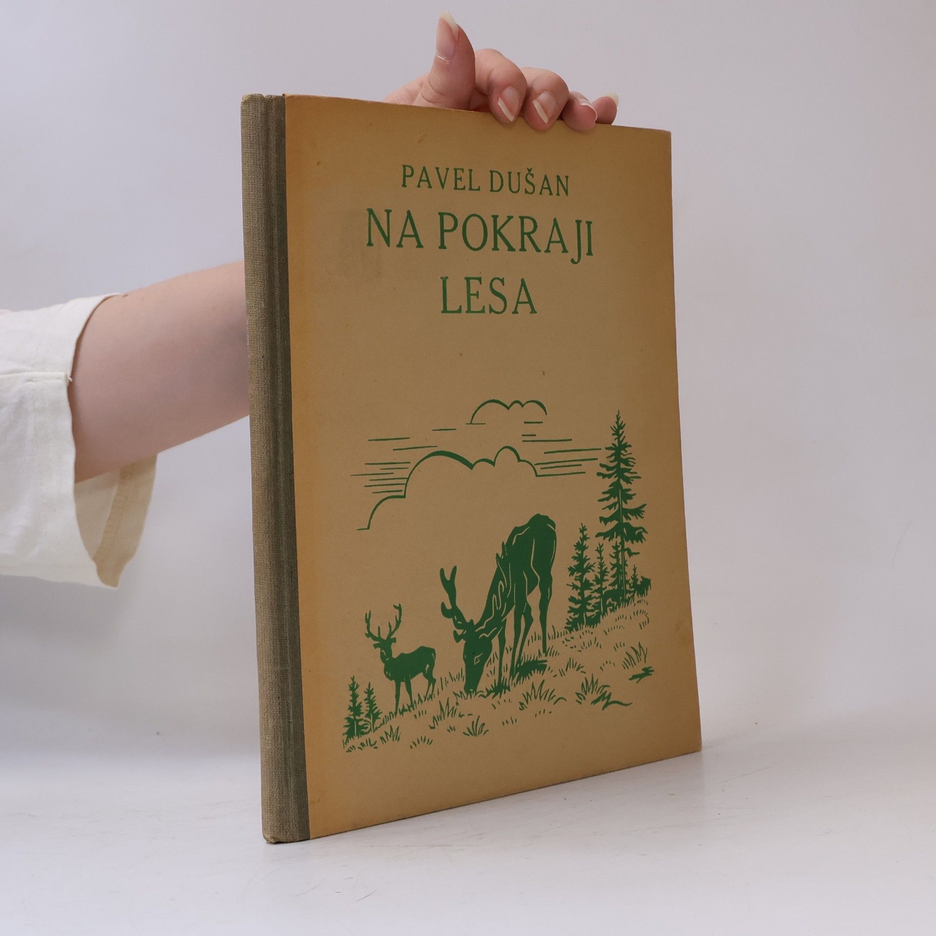Pavel Dušan Na pokraji lesa