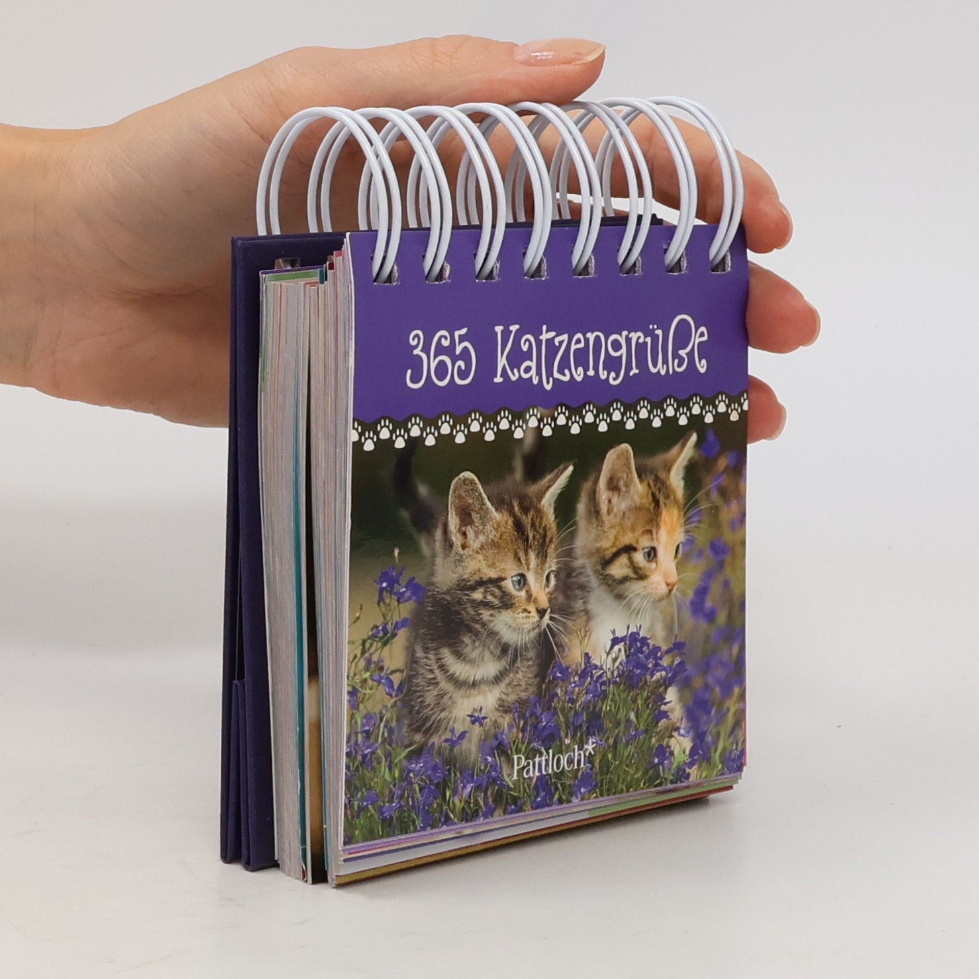 365 Katzengrüße
