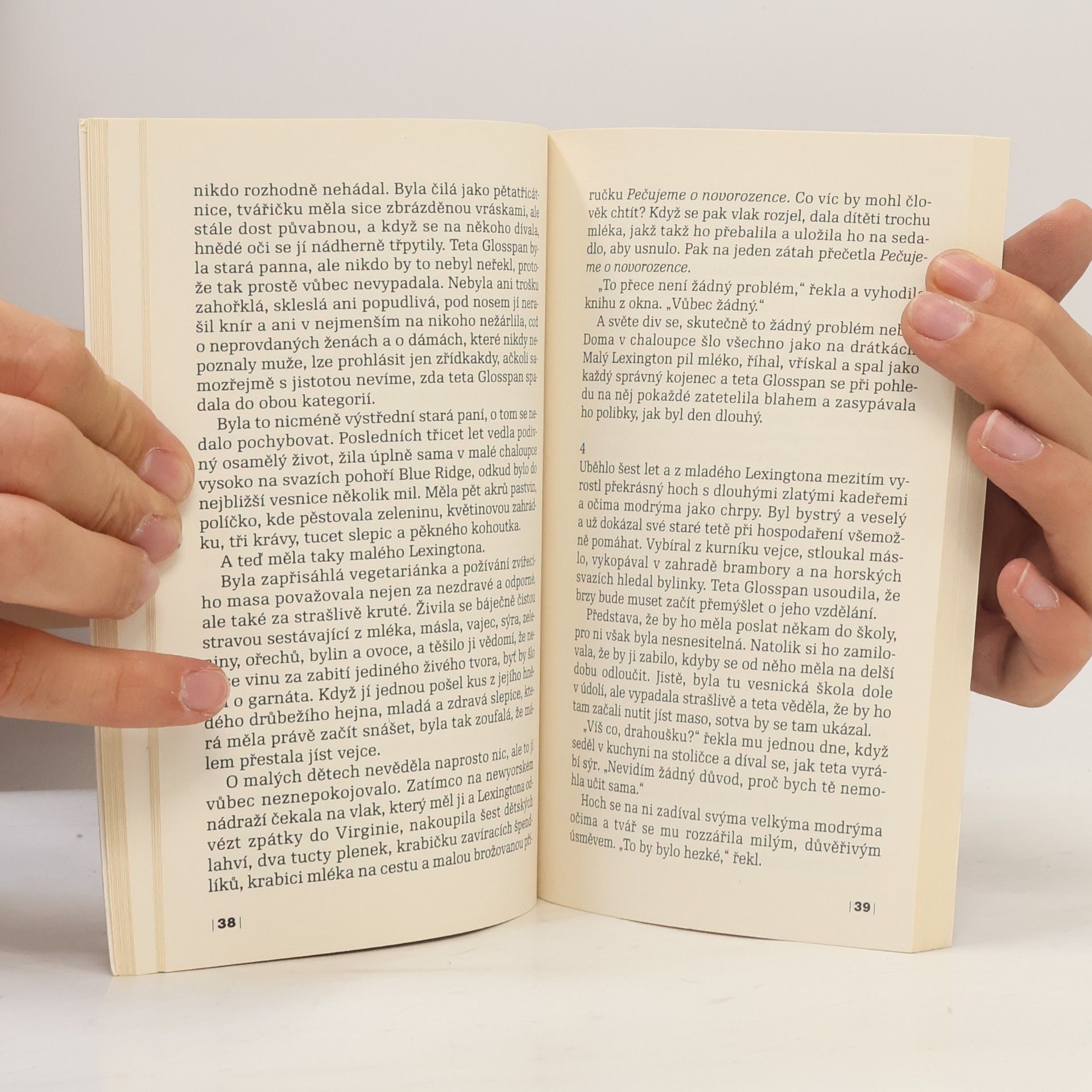 Roald Dahl Velký samočinný větostroj a další povídky