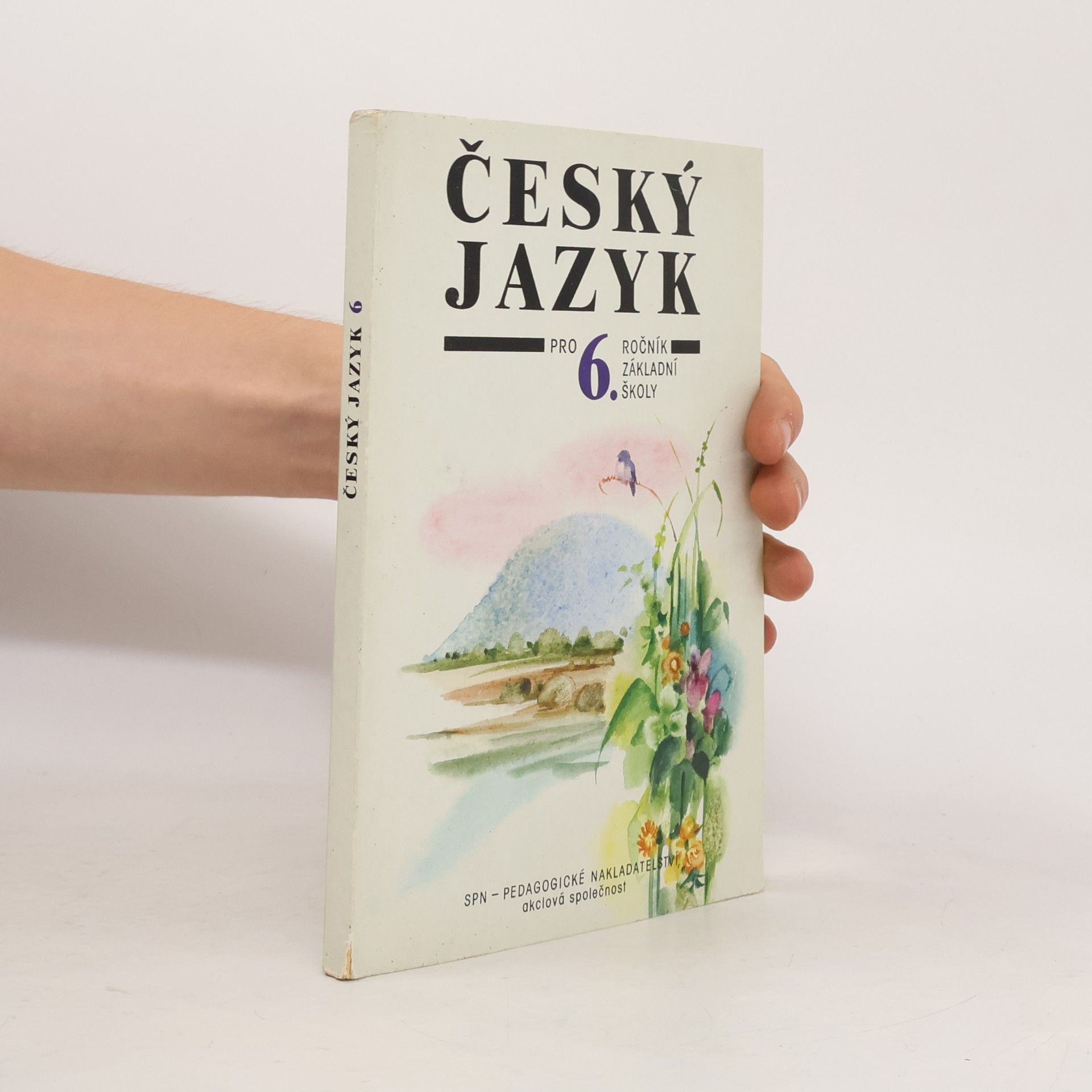Český jazyk pro 6. ročník základní školy a pro odpovídající ročník víceletých gymnázií