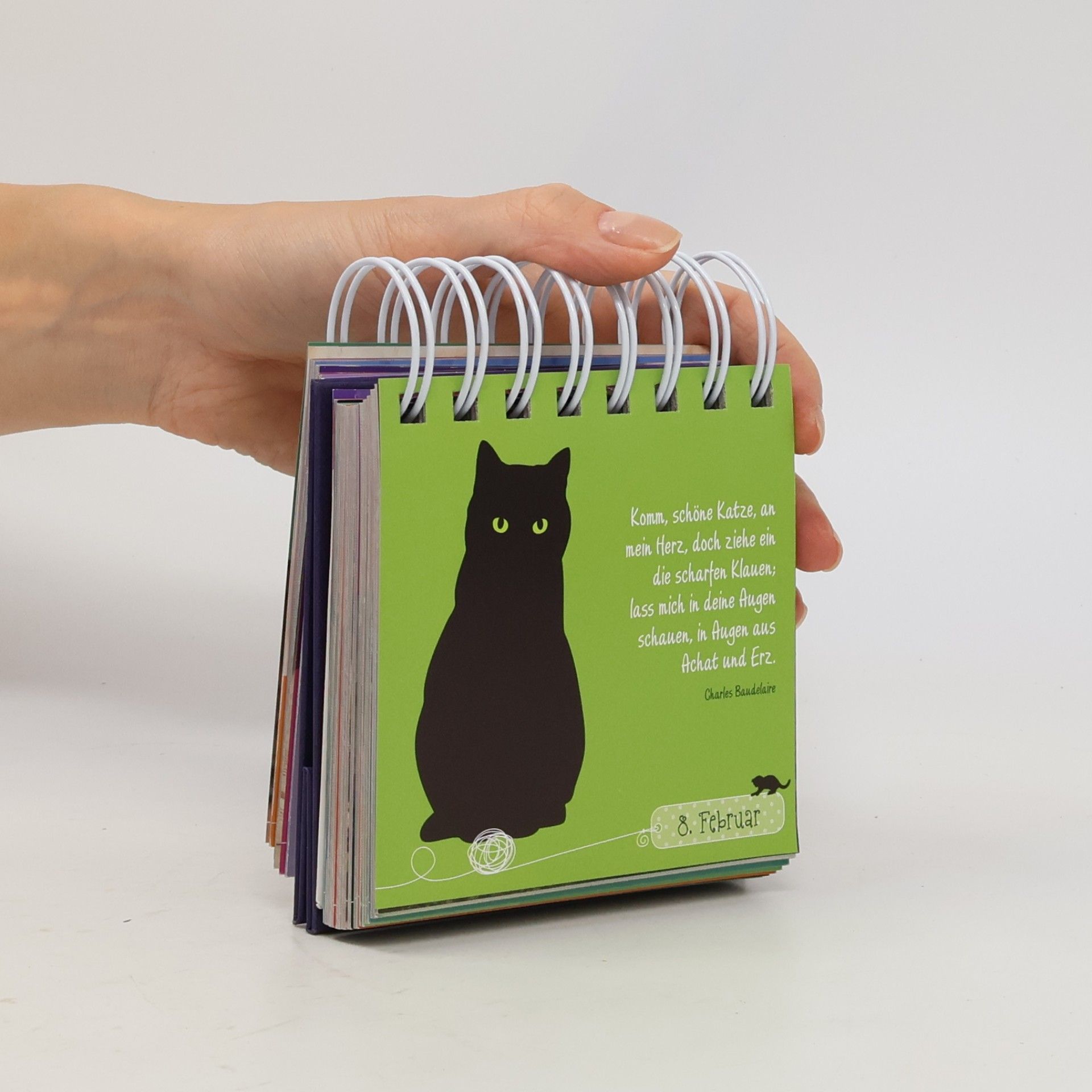 Pattloch 365 Katzengrüße