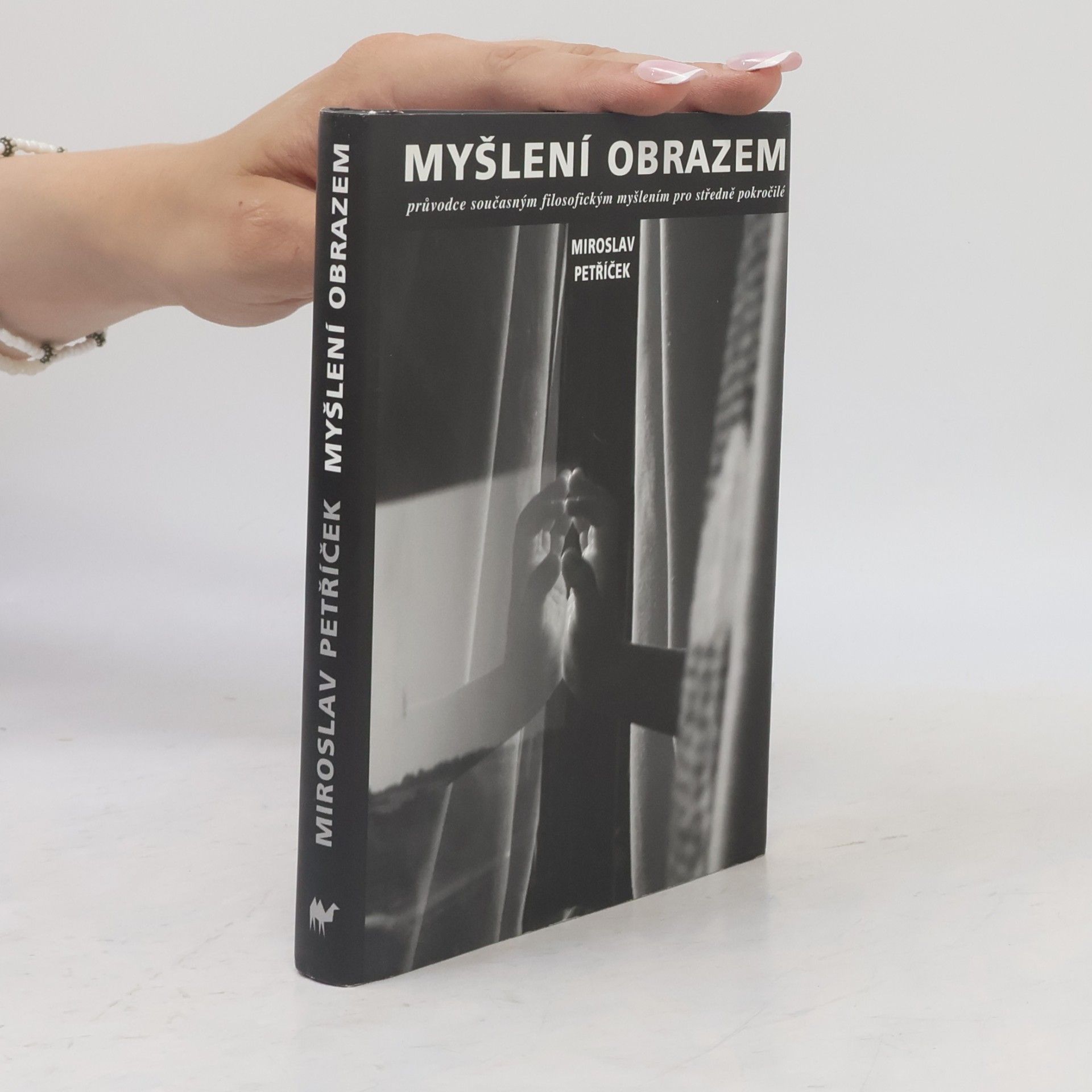 Miroslav Petříček Myšlení obrazem: Průvodce současným filosofickým myšlením pro středně nepokročilé