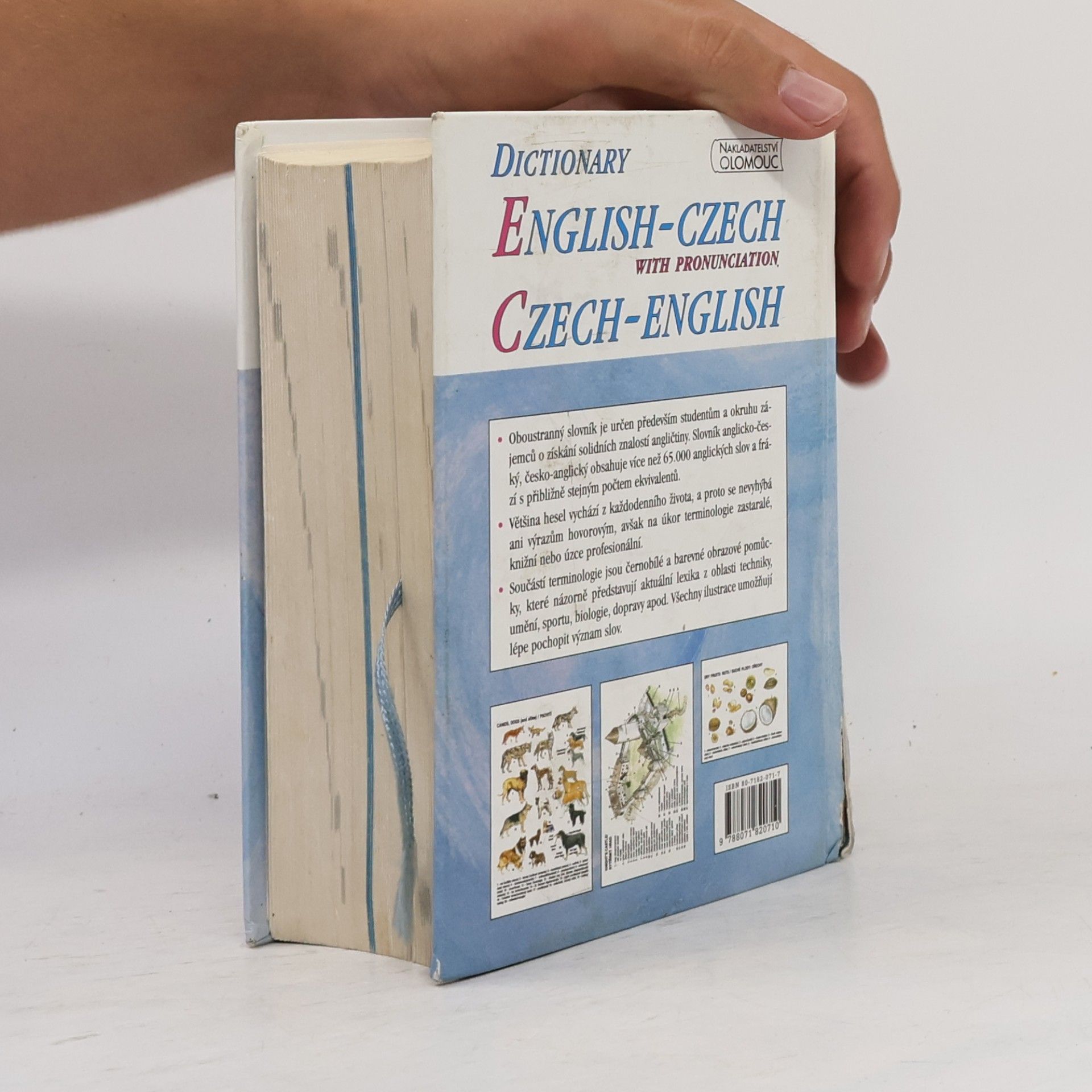 Autorenkollektiv Slovník anglicko-český, česko-anglický s výslovností