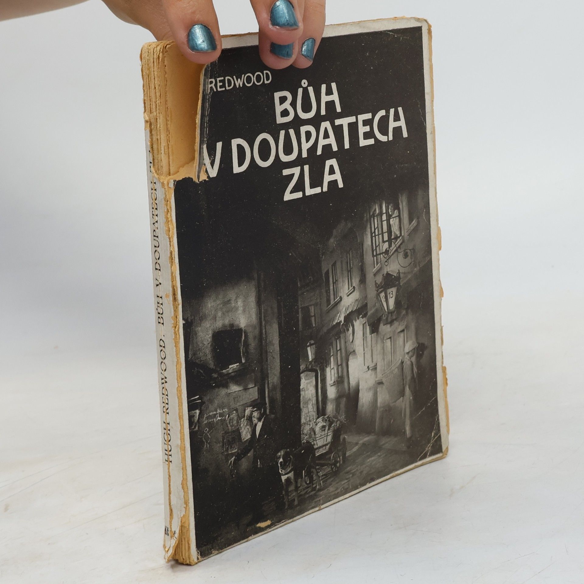 Hugh Redwood Bůh v doupatech zla