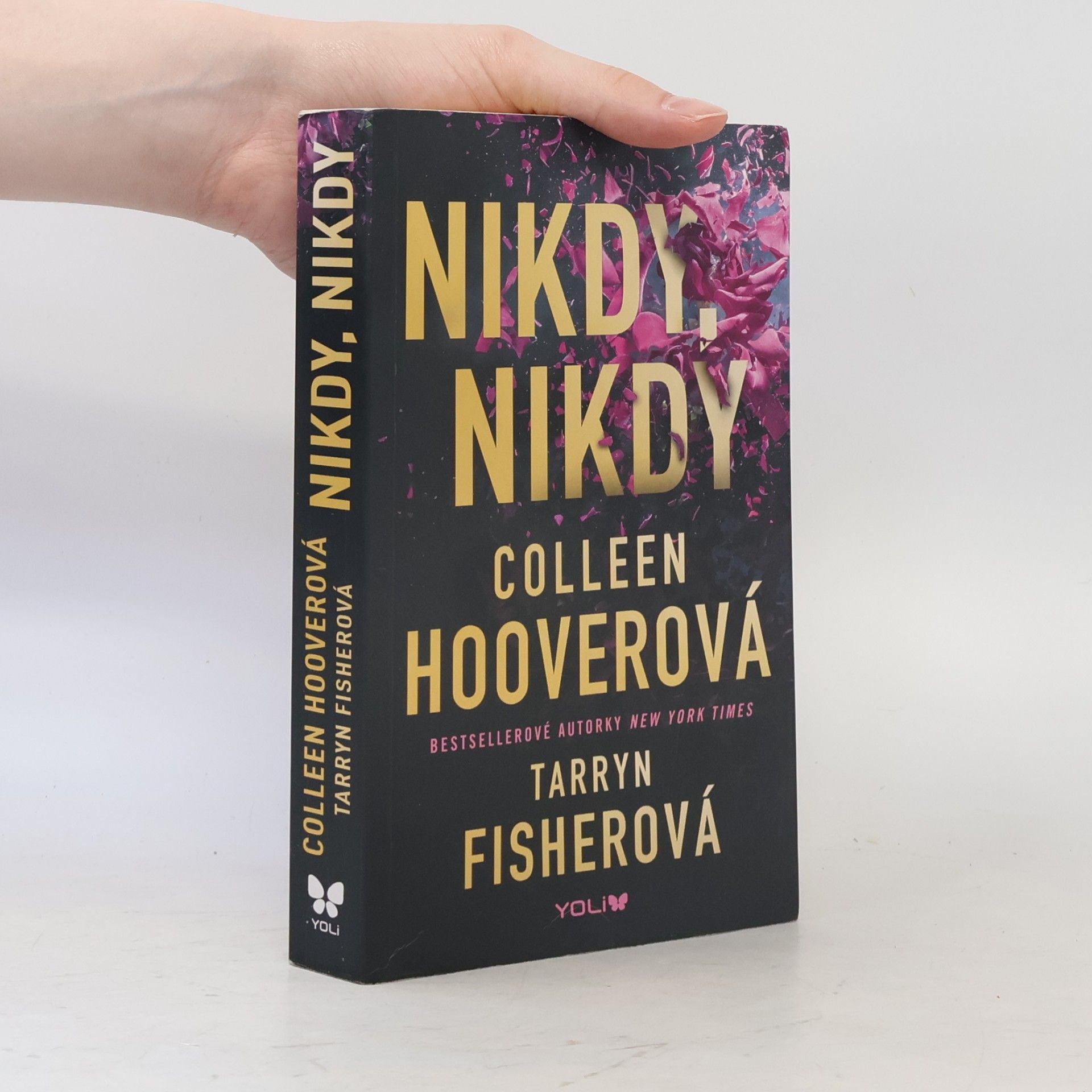 Colleen Hoover Nikdy, nikdy