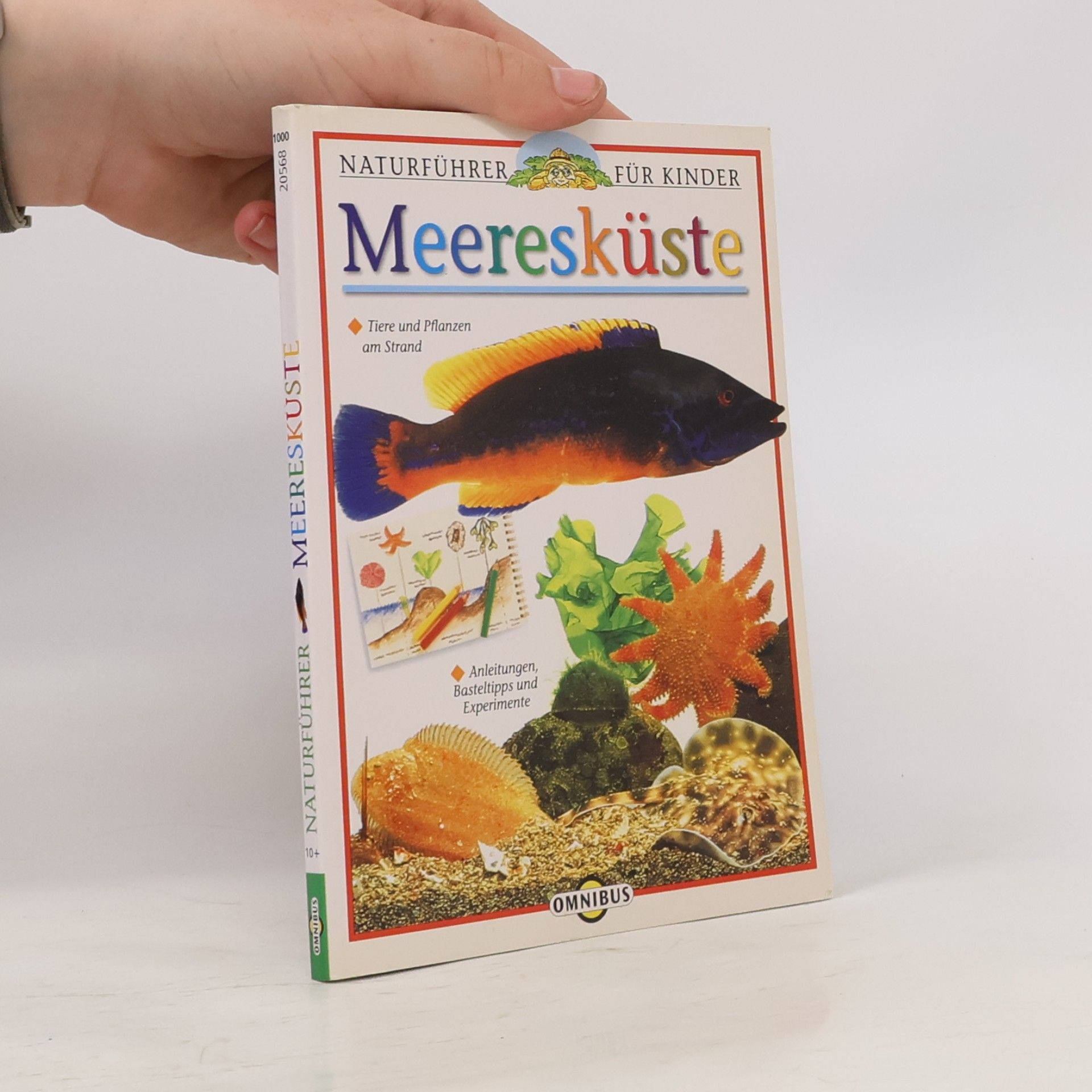 David Burnie Naturführer für Kinder: Meeresküste