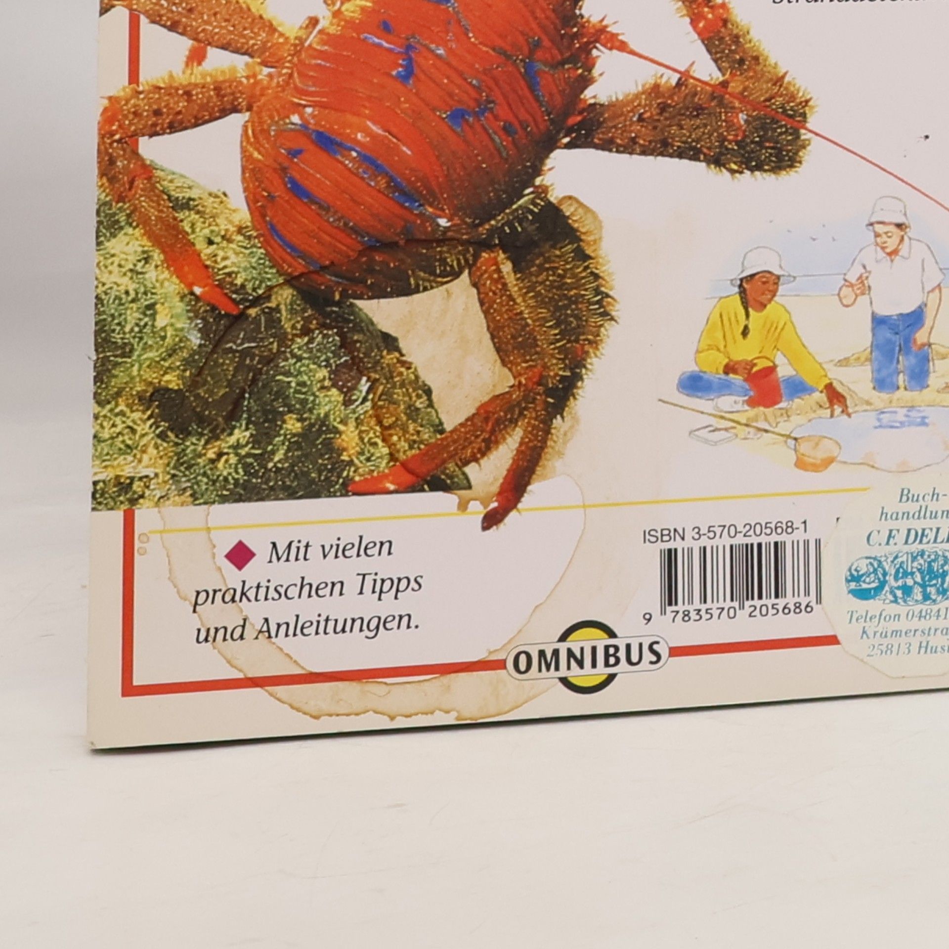 David Burnie Naturführer für Kinder: Meeresküste
