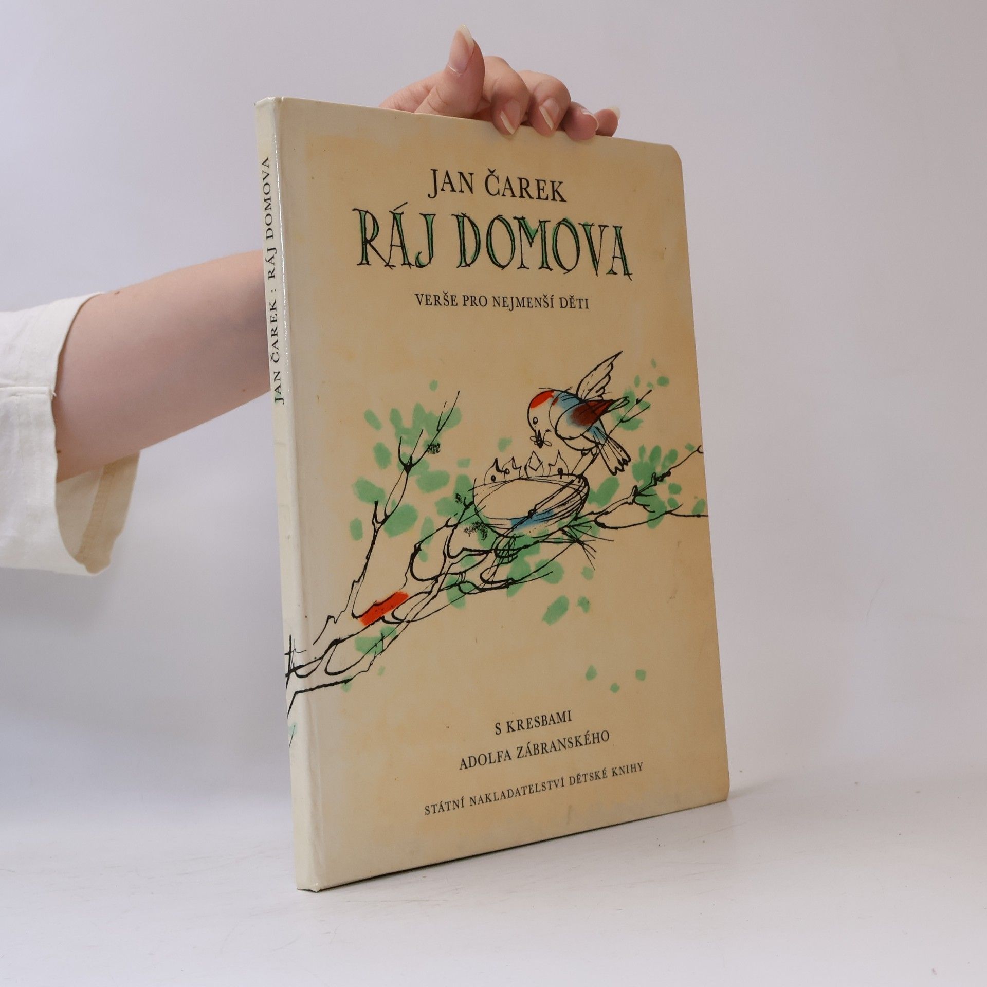 Ráj domova