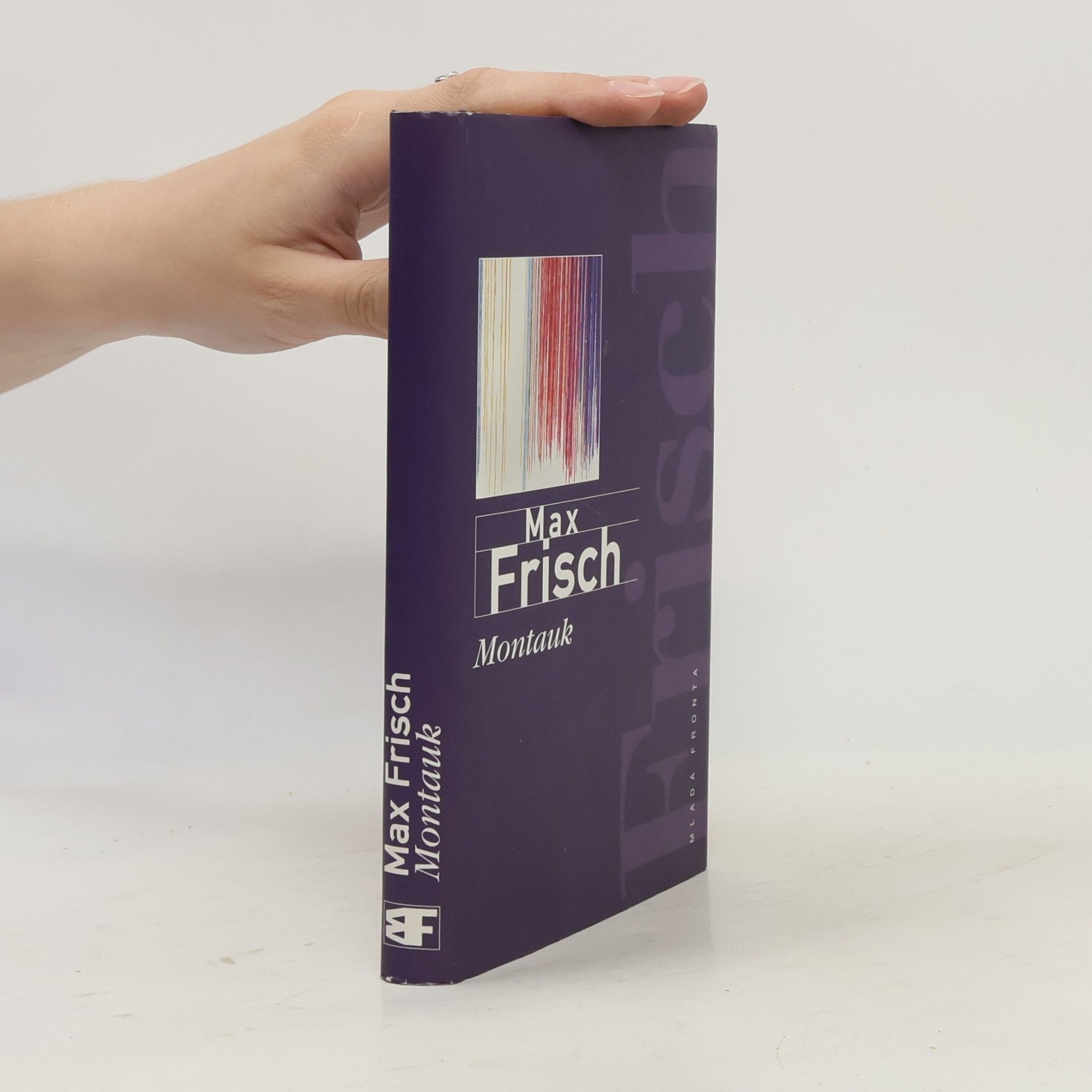 Max Frisch Montauk