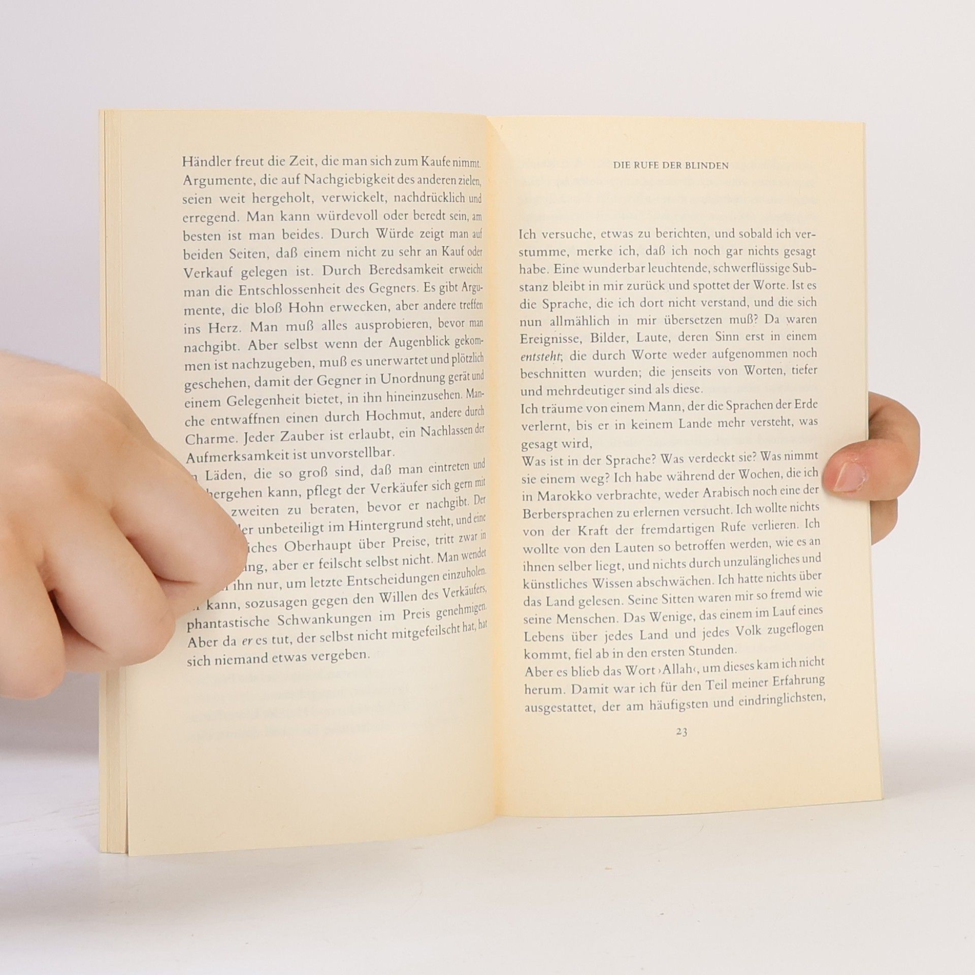 Elias Canetti Die Stimmen von Marrakesch
