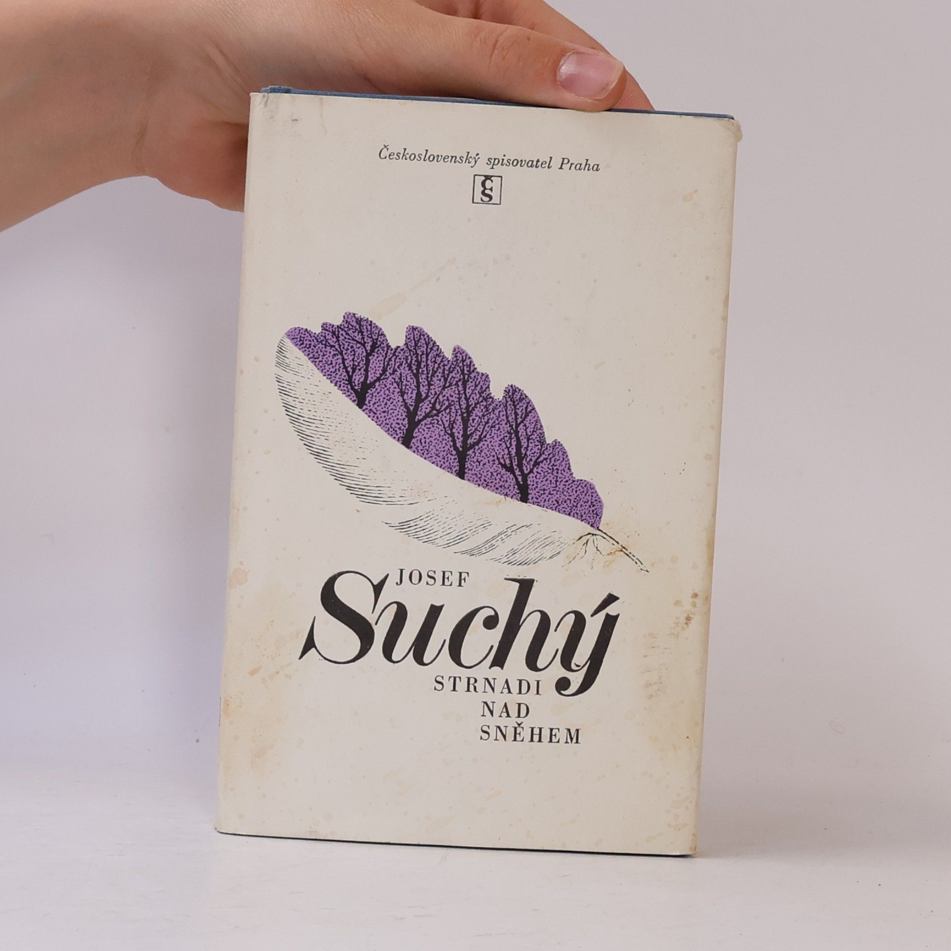 Josef Suchý Strnadi nad sněhem