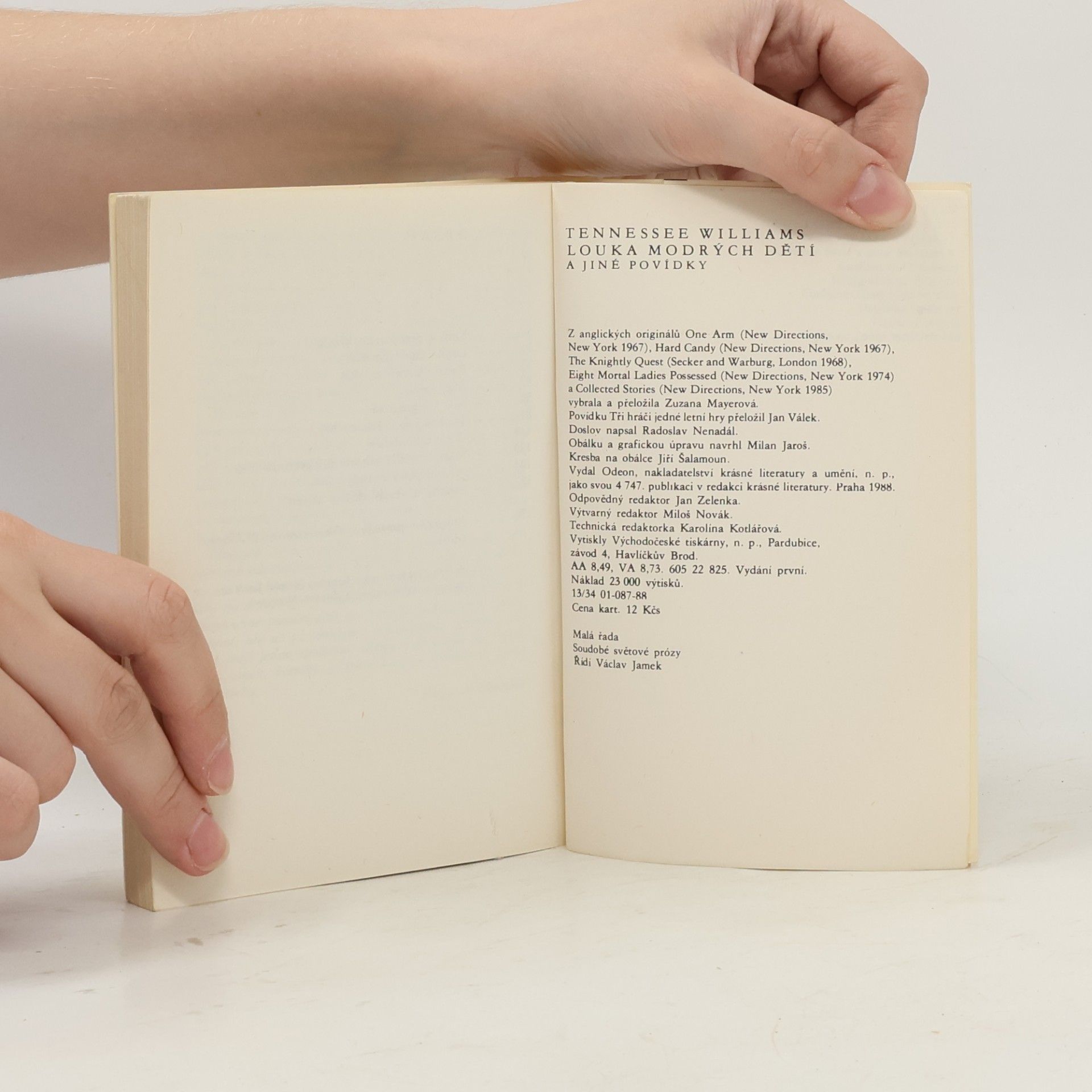Tennessee Williams Louka modrých dětí