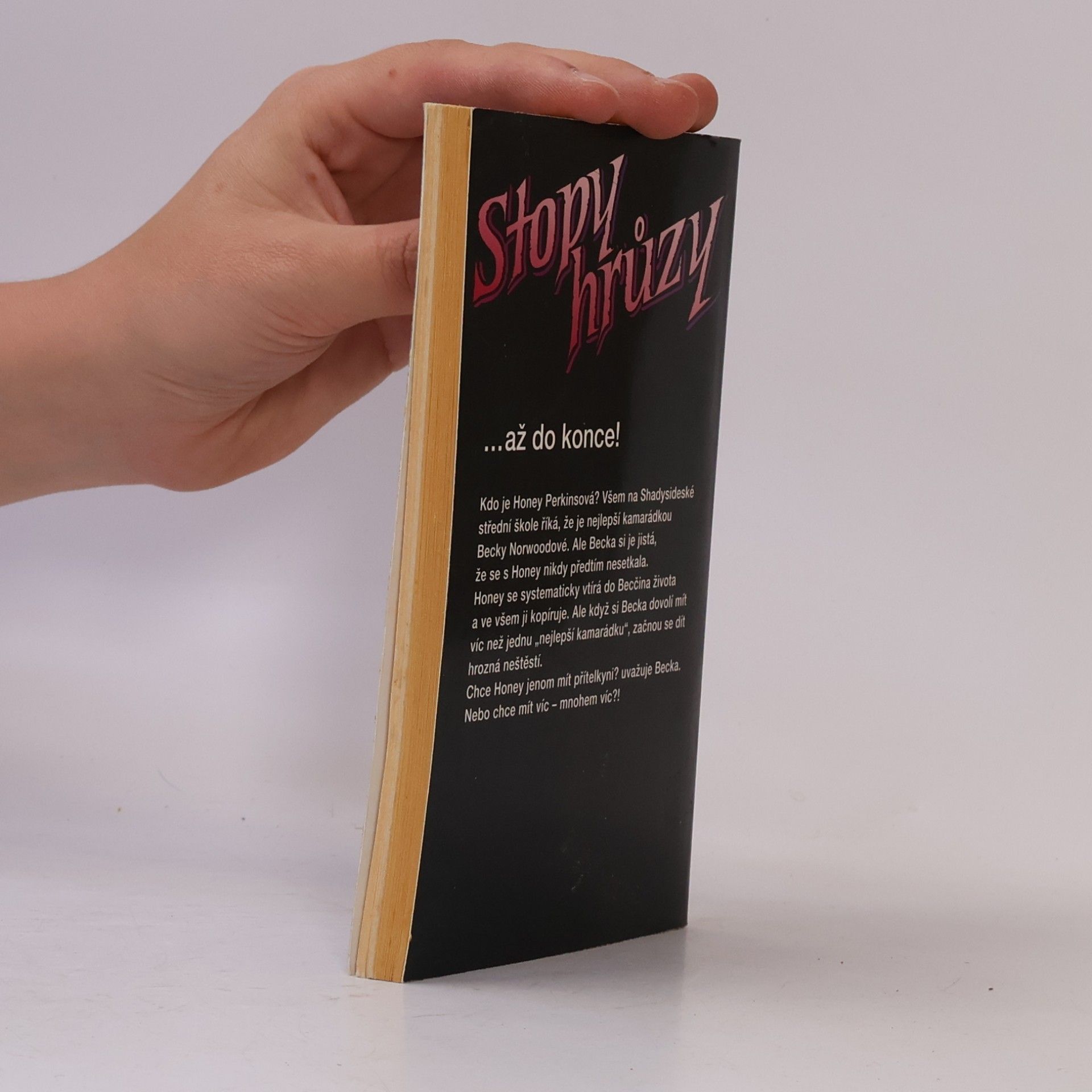 R. L. Stine Nejlepší přítelkyně