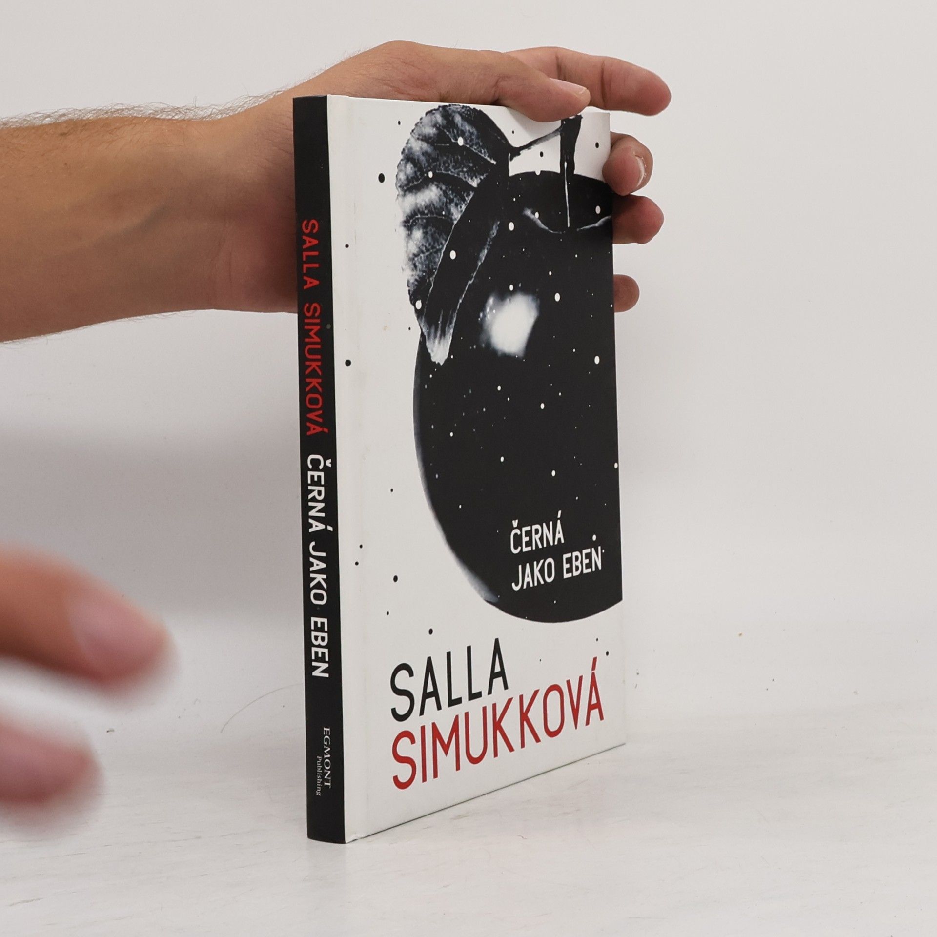 Salla Simukka Černá jako eben