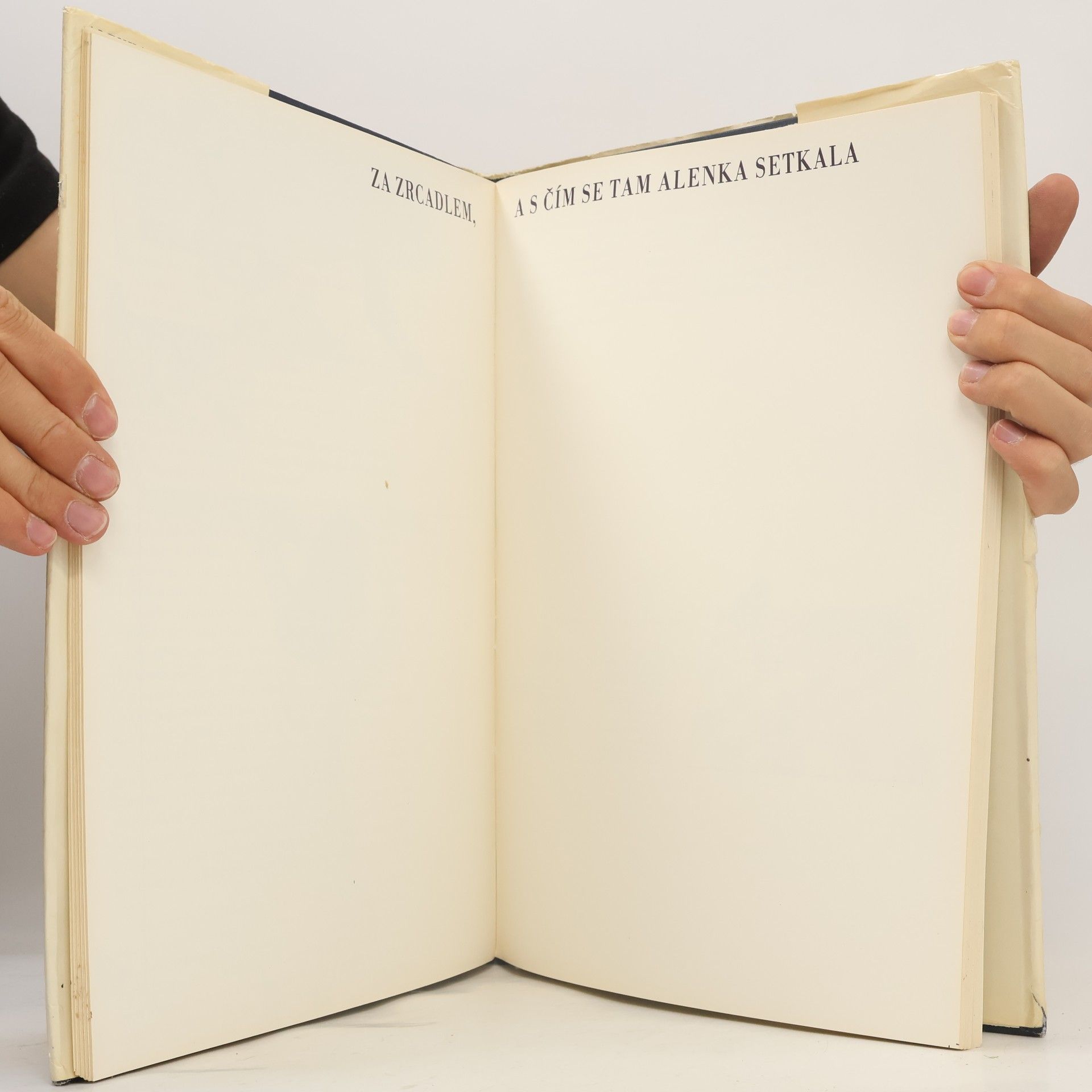 Lewis Carroll Alenka v kraji divů a za zrcadlem