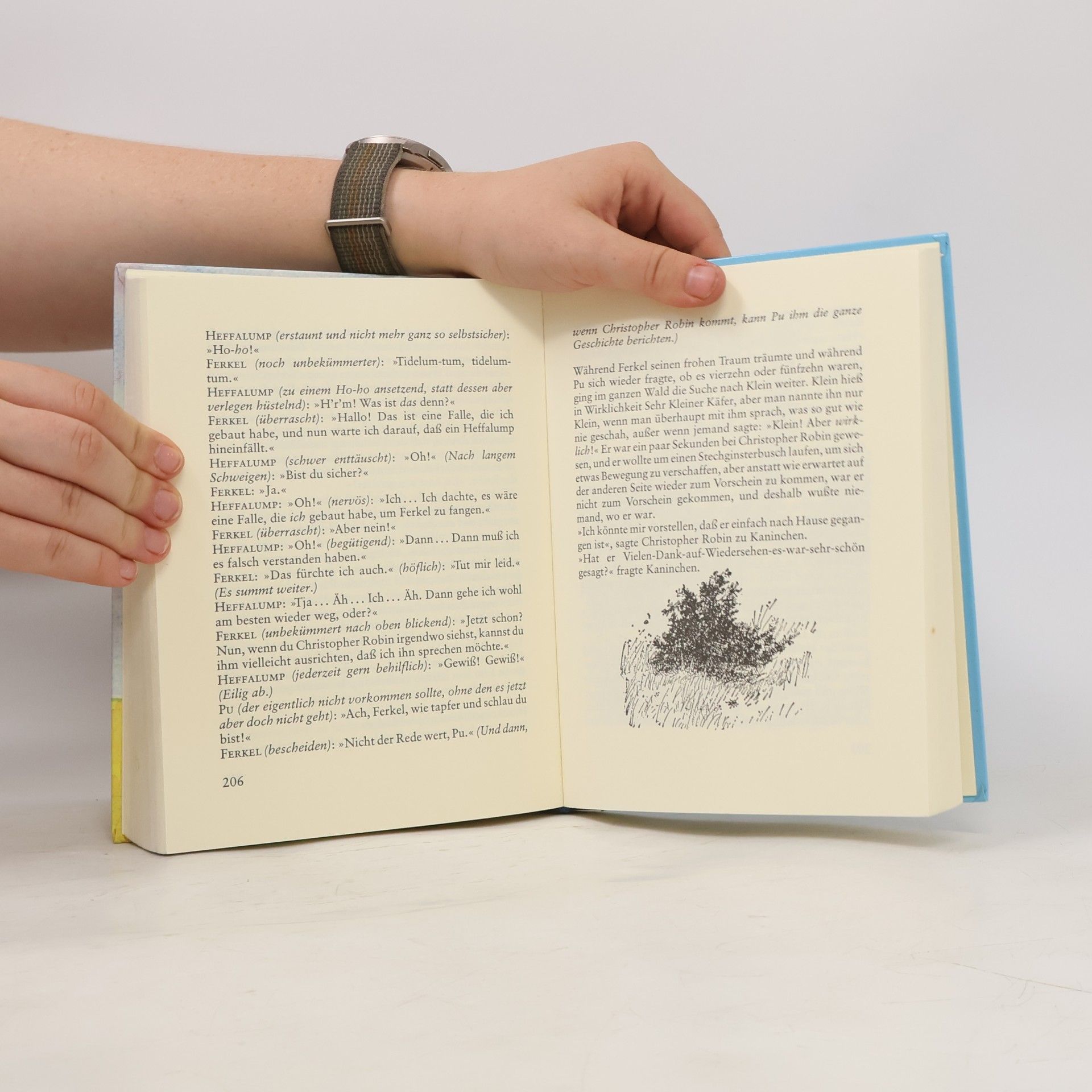 A. A. Milne Pu der Bär