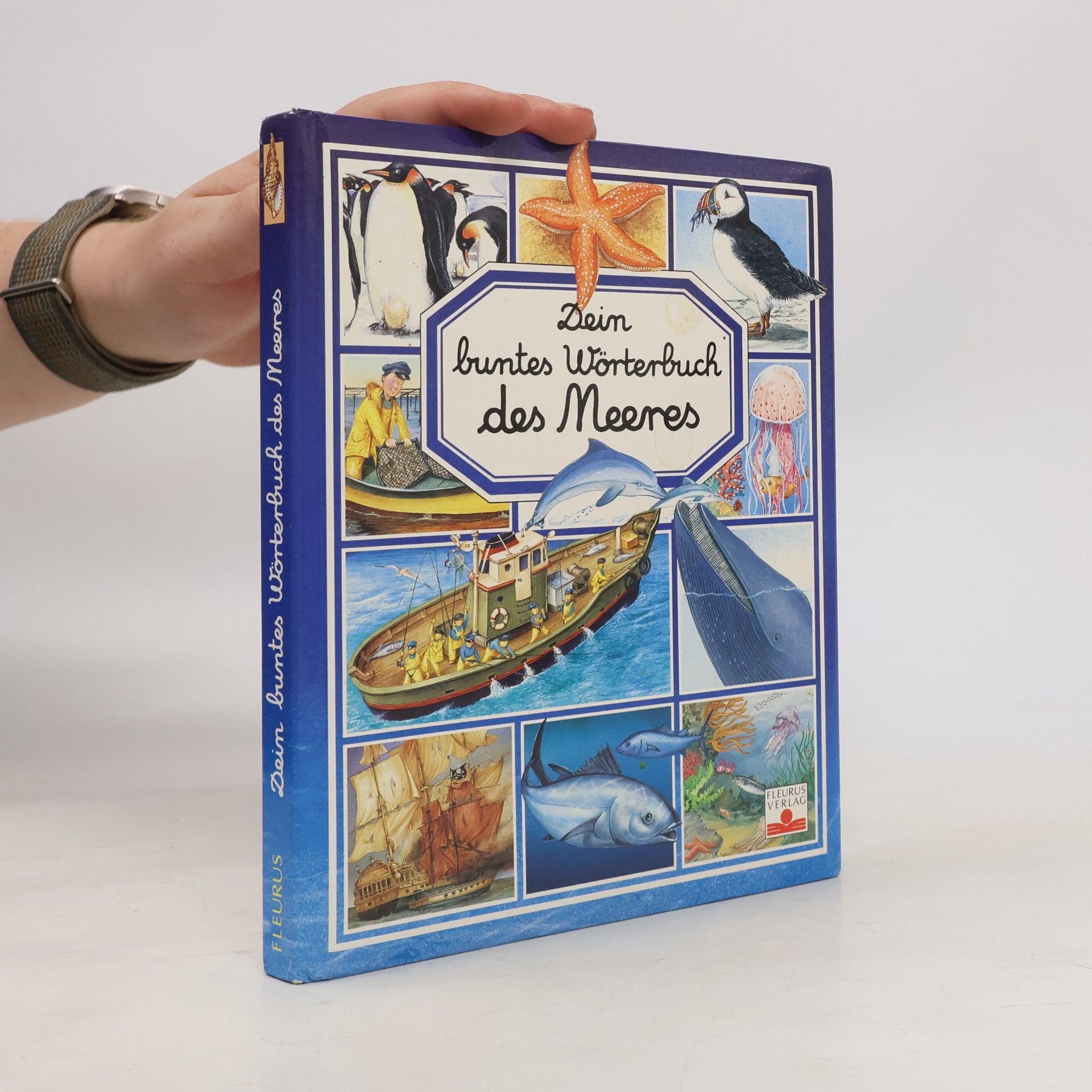 Dein buntes Wörterbuch des Meeres