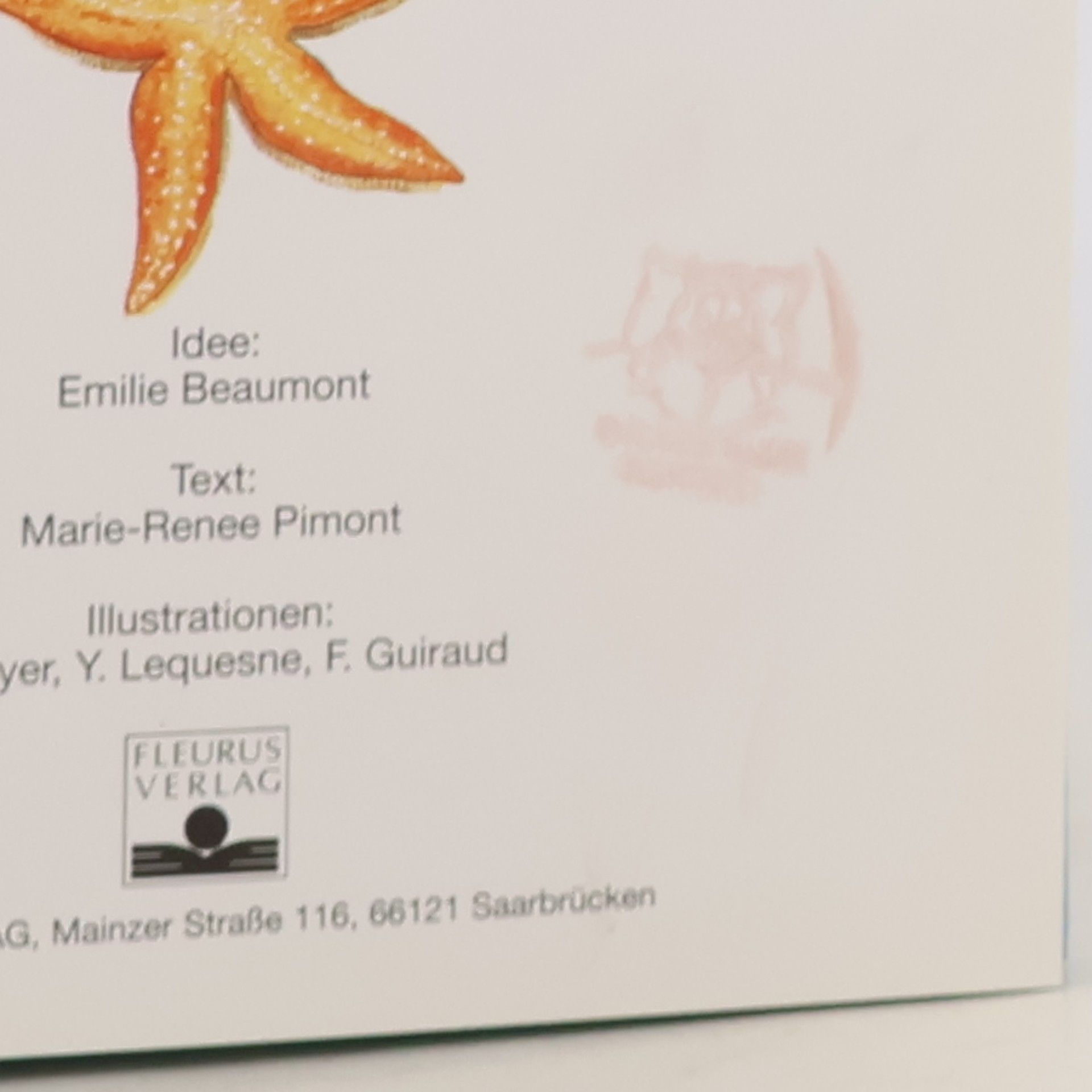 Emilie Beaumont Dein buntes Wörterbuch des Meeres