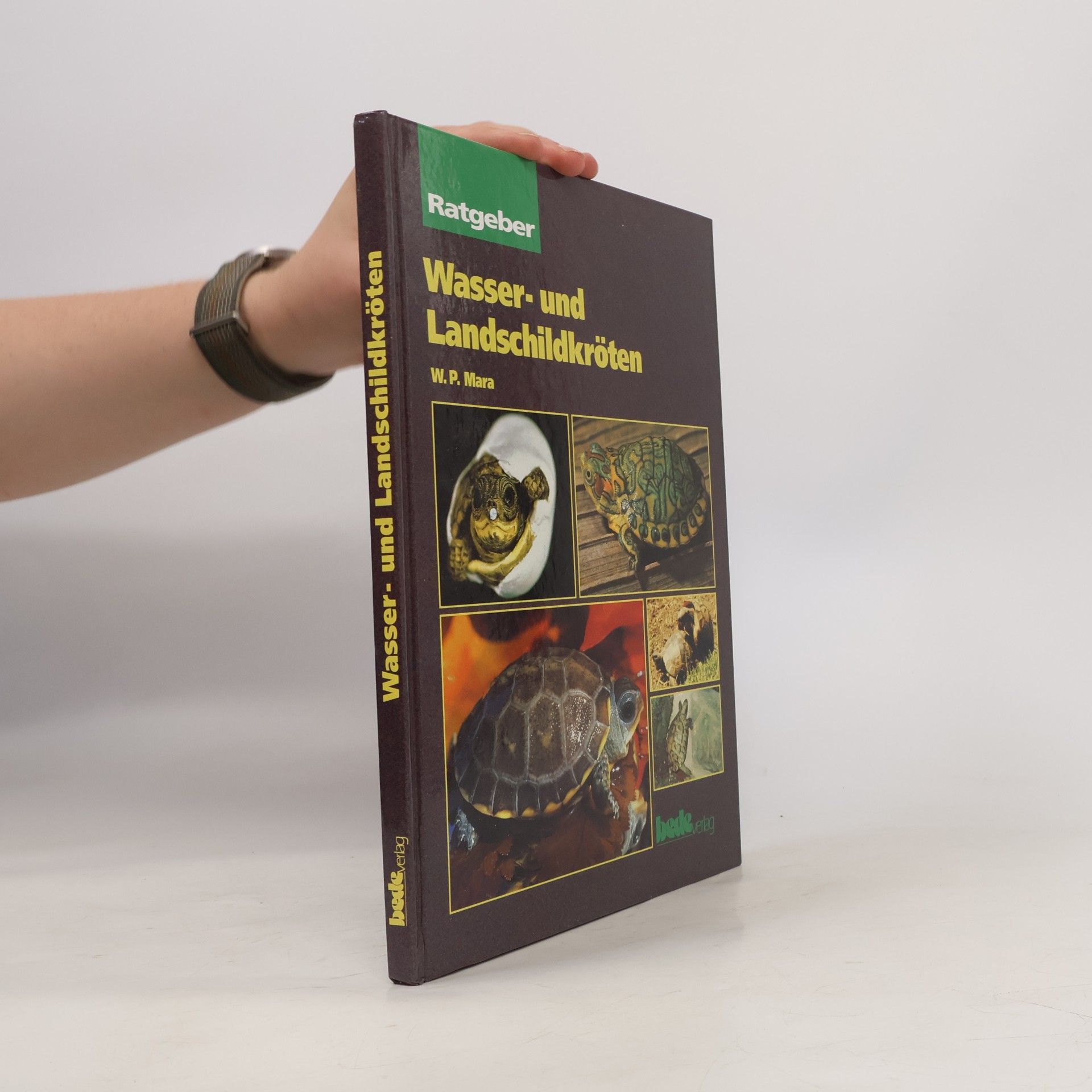 Wil Mara Wasser- und Landschildkröten