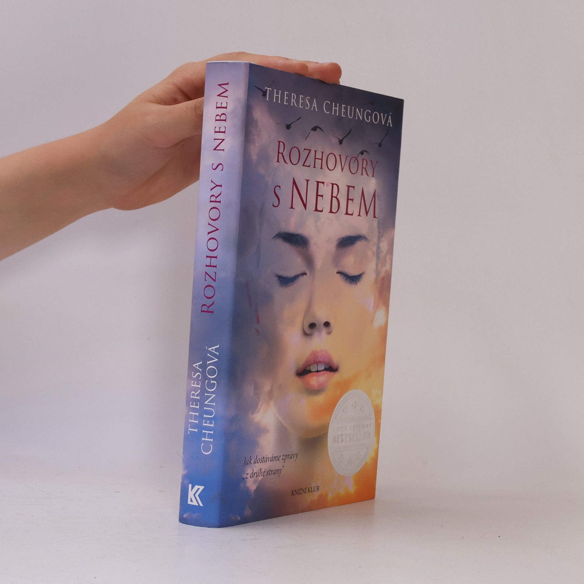Theresa Cheung Rozhovory s nebem