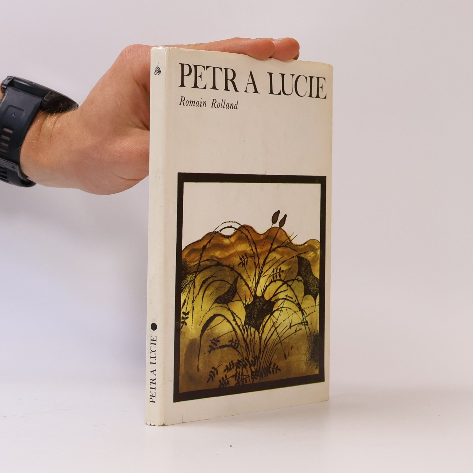 Romain Rolland Petr a Lucie