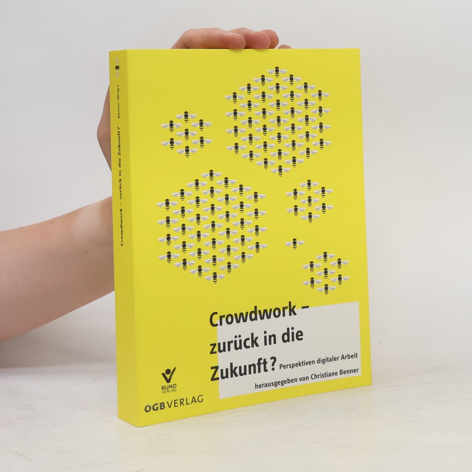 Christiane Benner Crowdwork - zurück in die Zukunft?