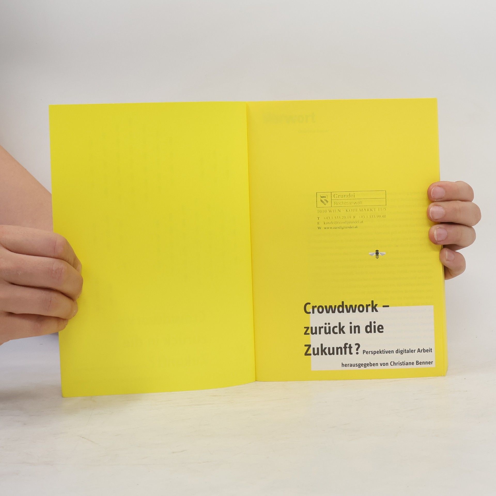 Christiane Benner Crowdwork - zurück in die Zukunft?