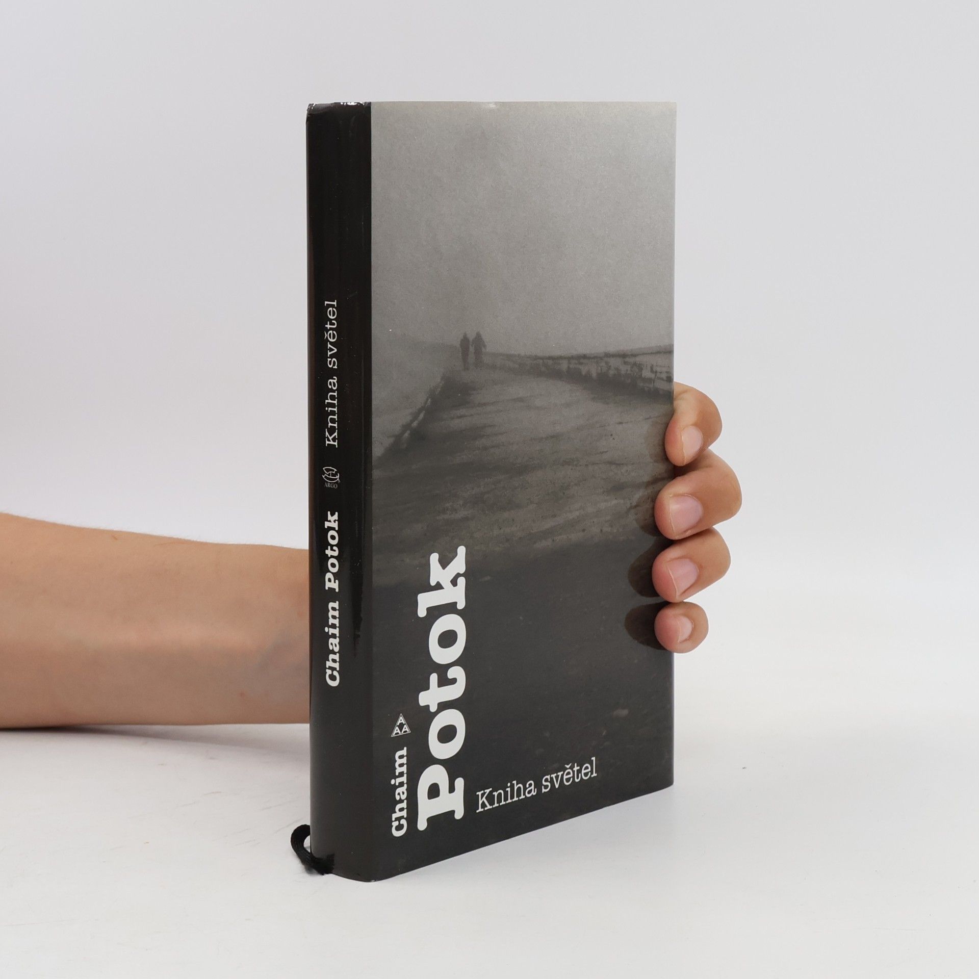 Chaim Potok Kniha světel