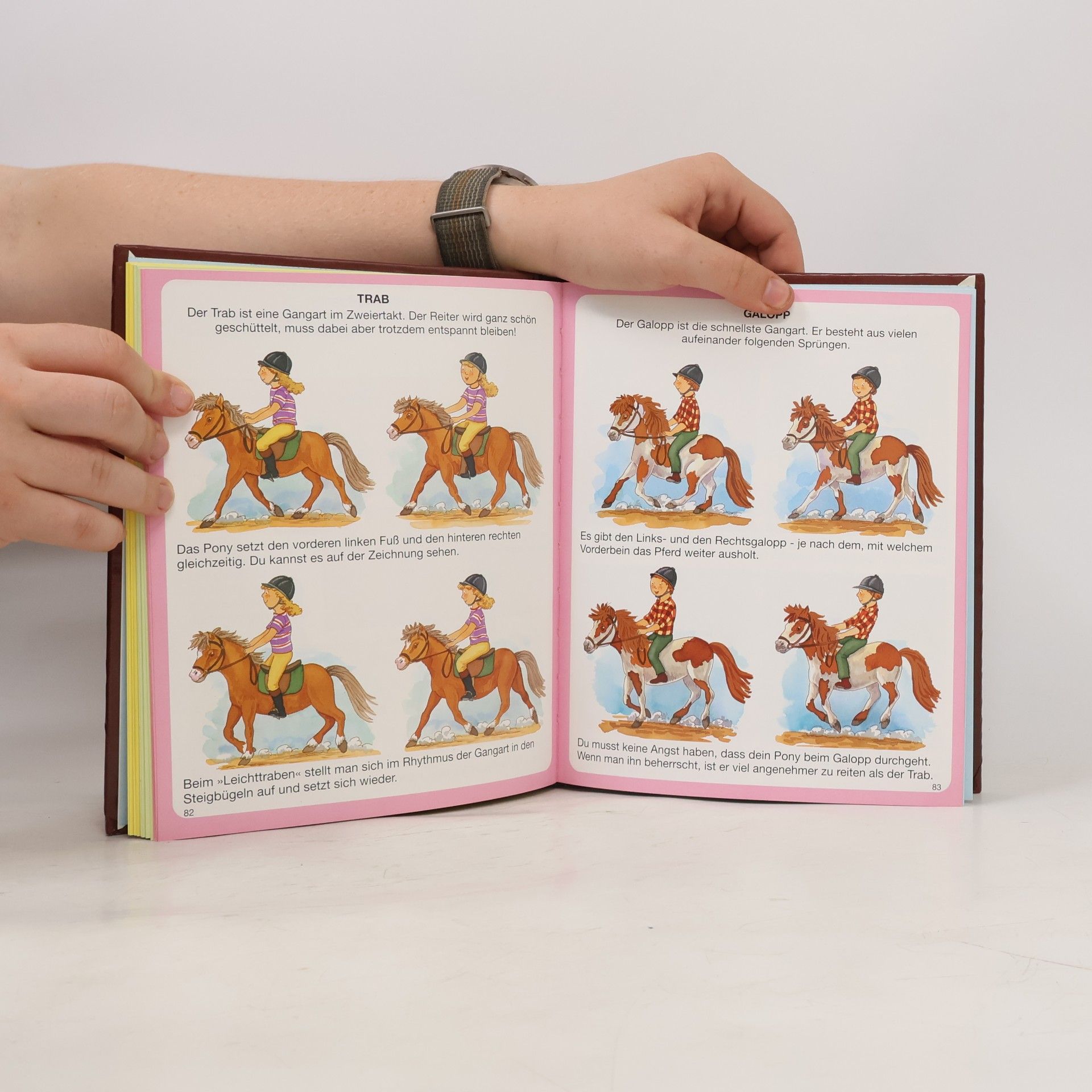 Emilie Beaumont Dein buntes Wörterbuch der Pferde und Ponys