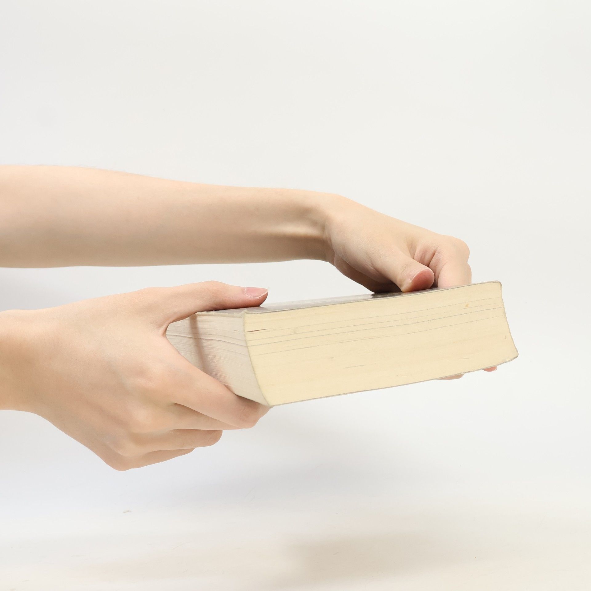 Walter Moers Die Stadt der Träumenden Bücher