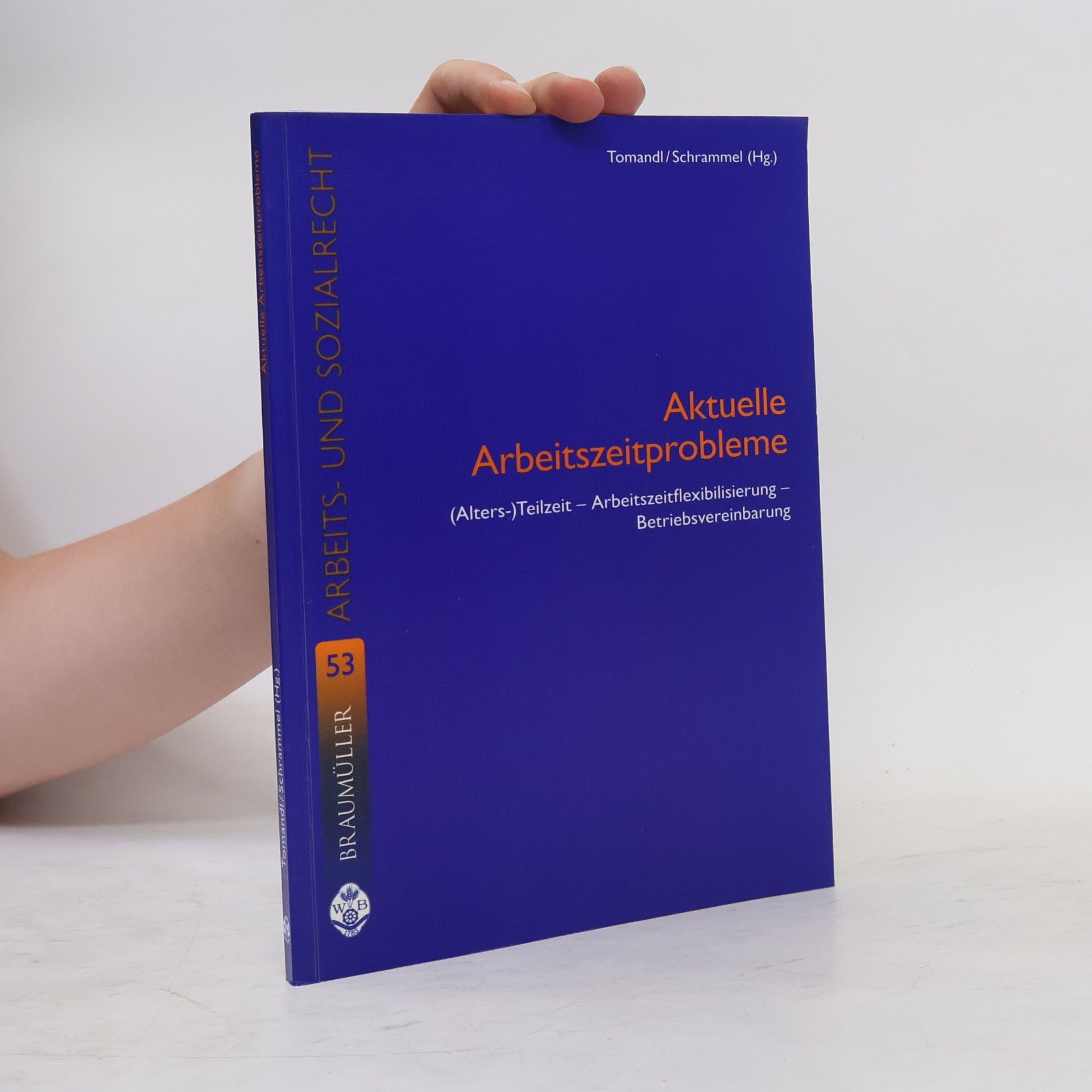 Schrammel Wiener Beiträge zum Arbeits- und Sozialrecht - 53: Aktuelle Arbeitszeitprobleme