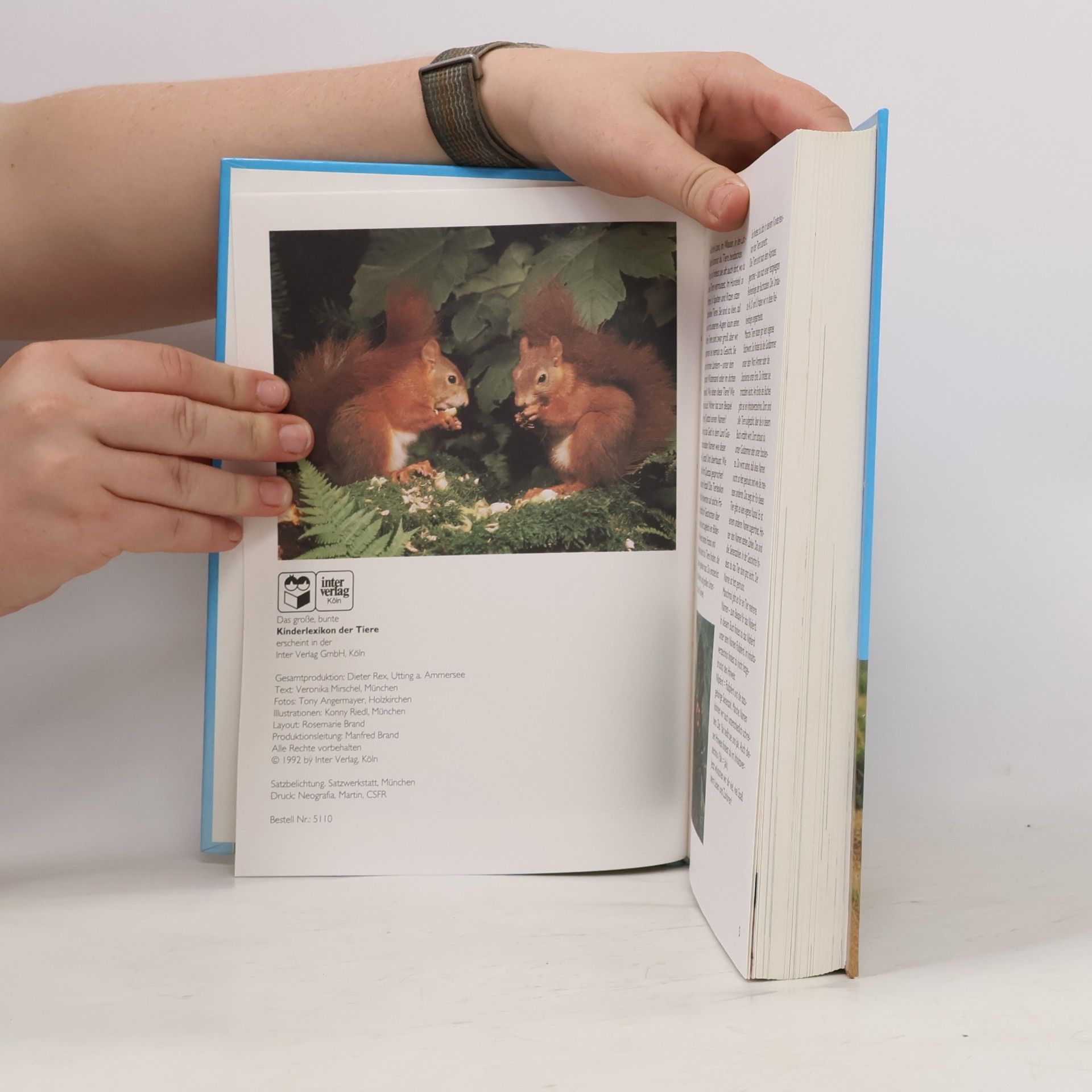 Collectif d'auteurs Kinderlexikon der Tiere