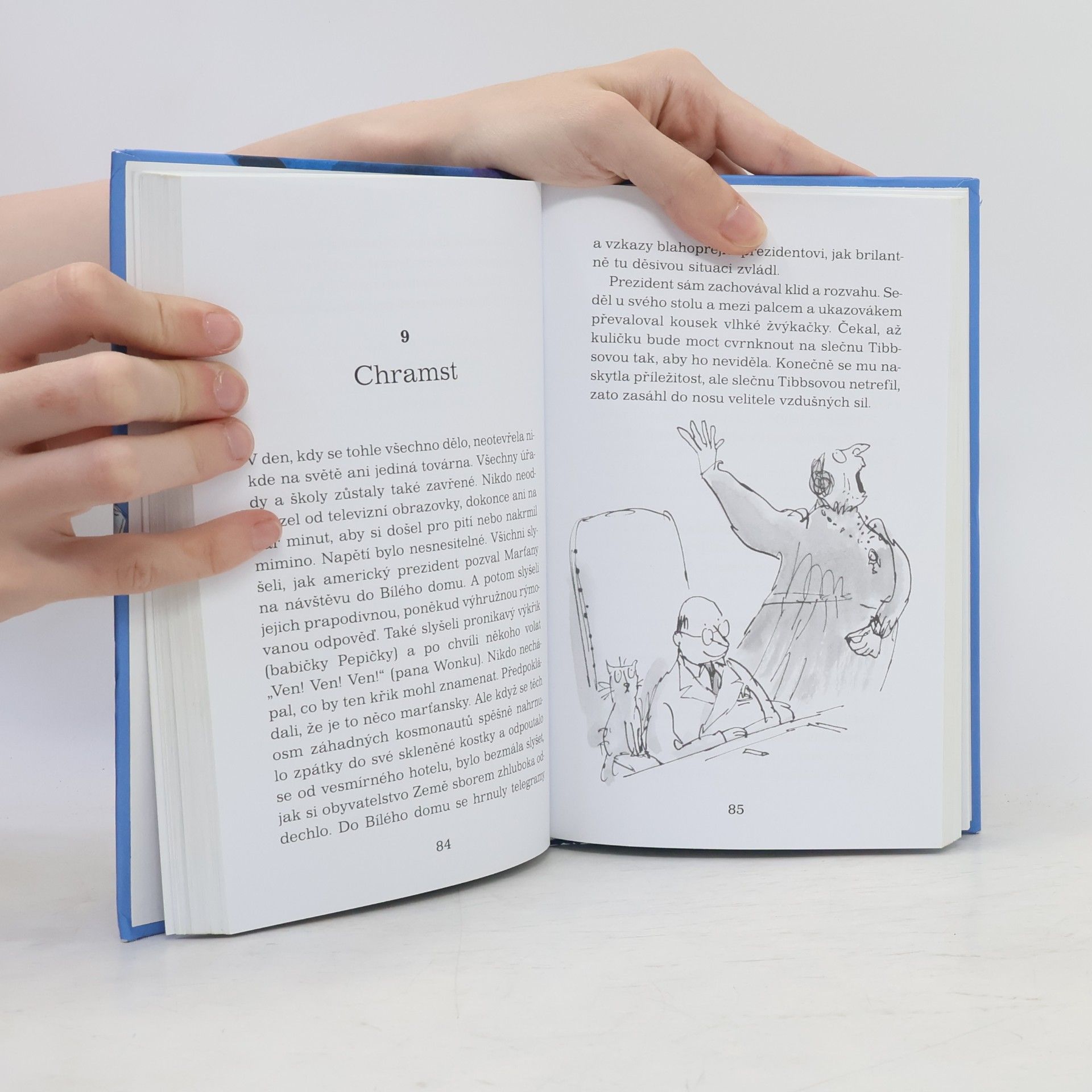 Roald Dahl Karlík a velký skleněný výtah
