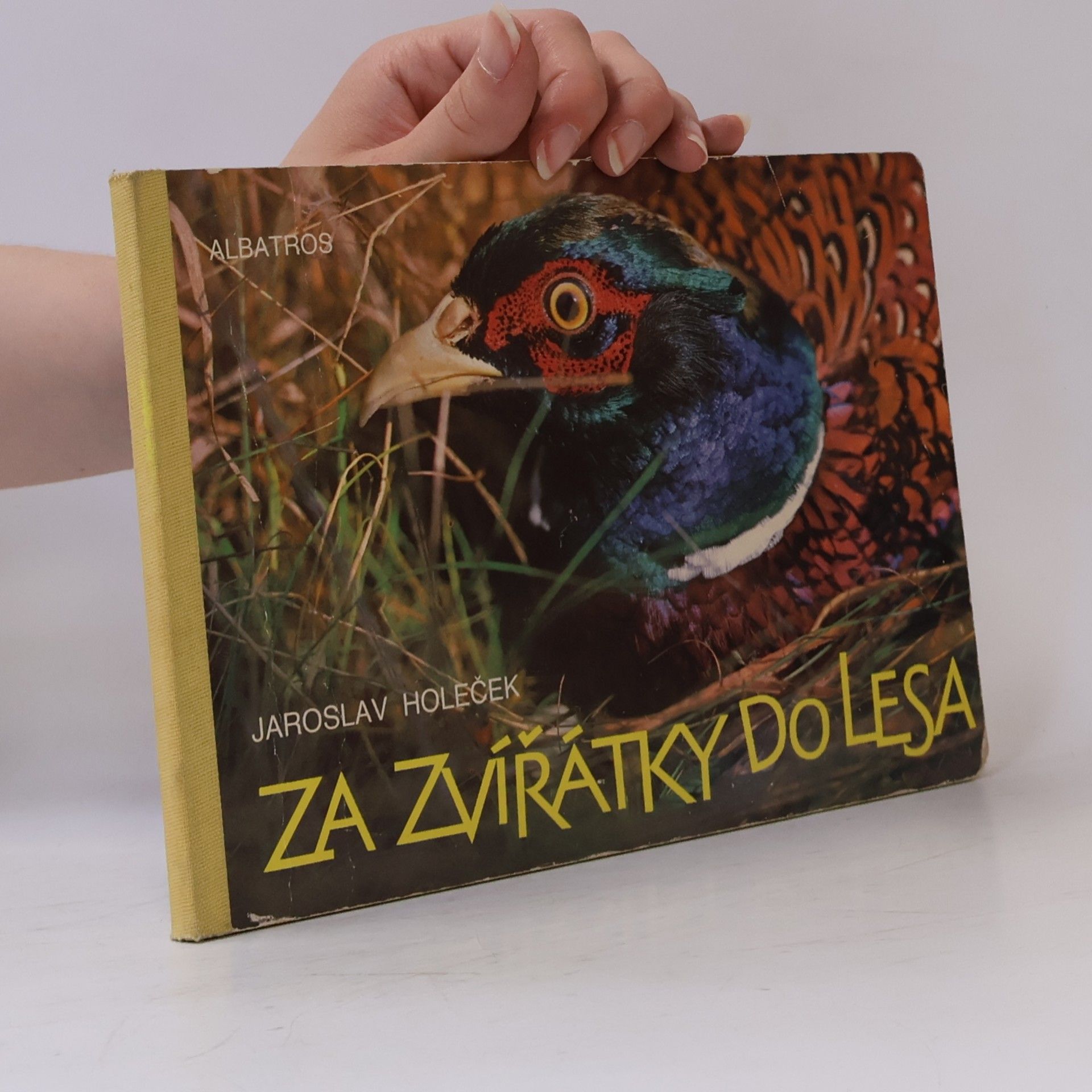 Jaroslav Holeček Za zvířátky do lesa