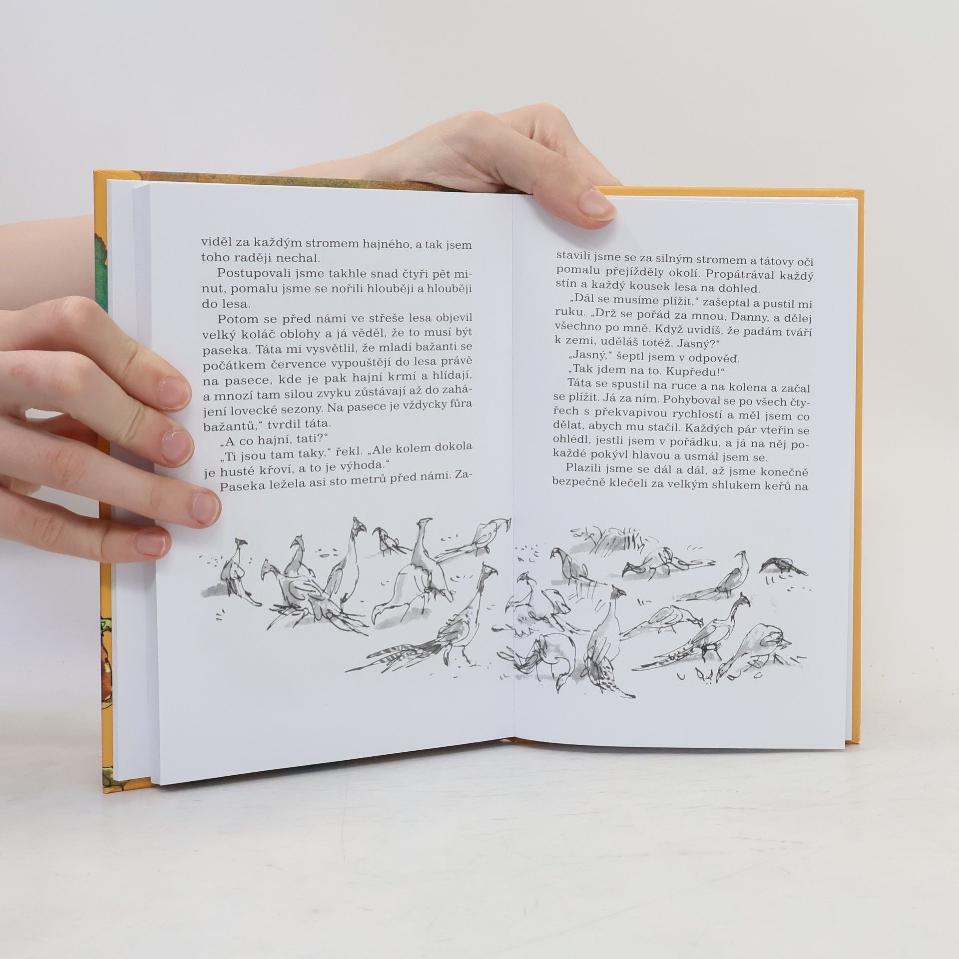Roald Dahl Danny, mistr světa