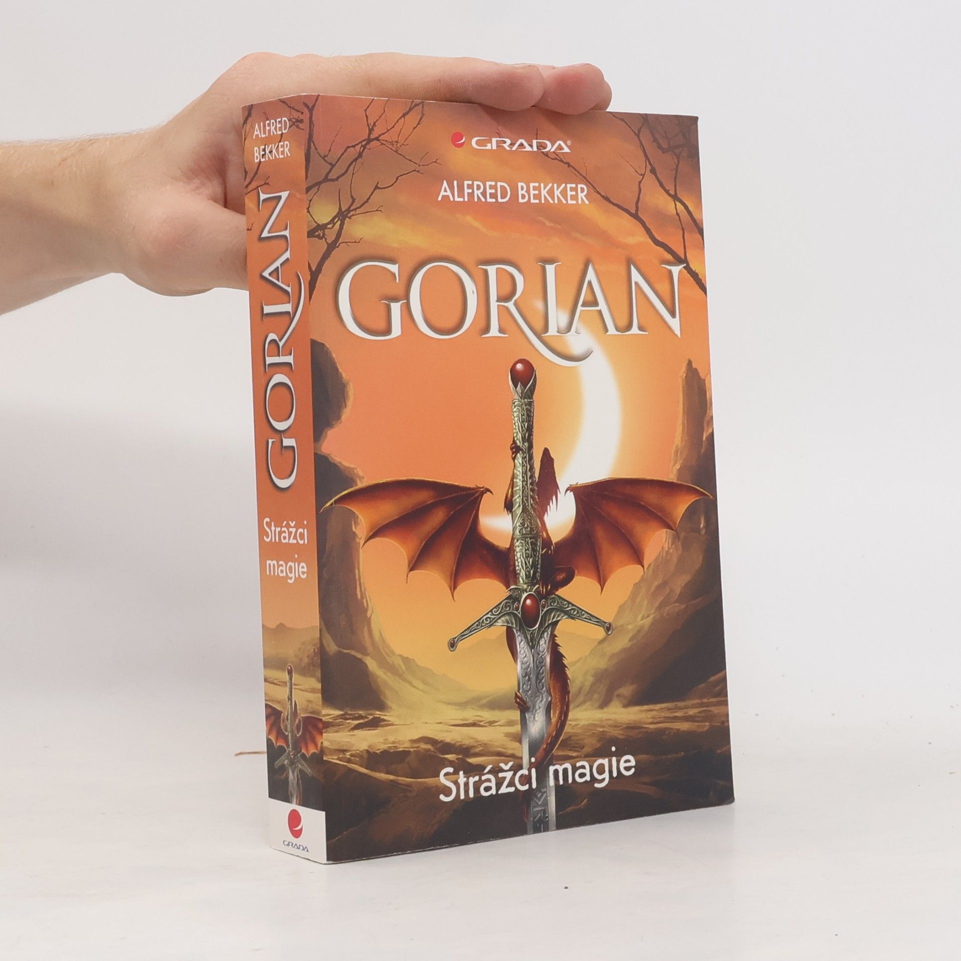 Alfred Bekker Gorian. Strážci magie