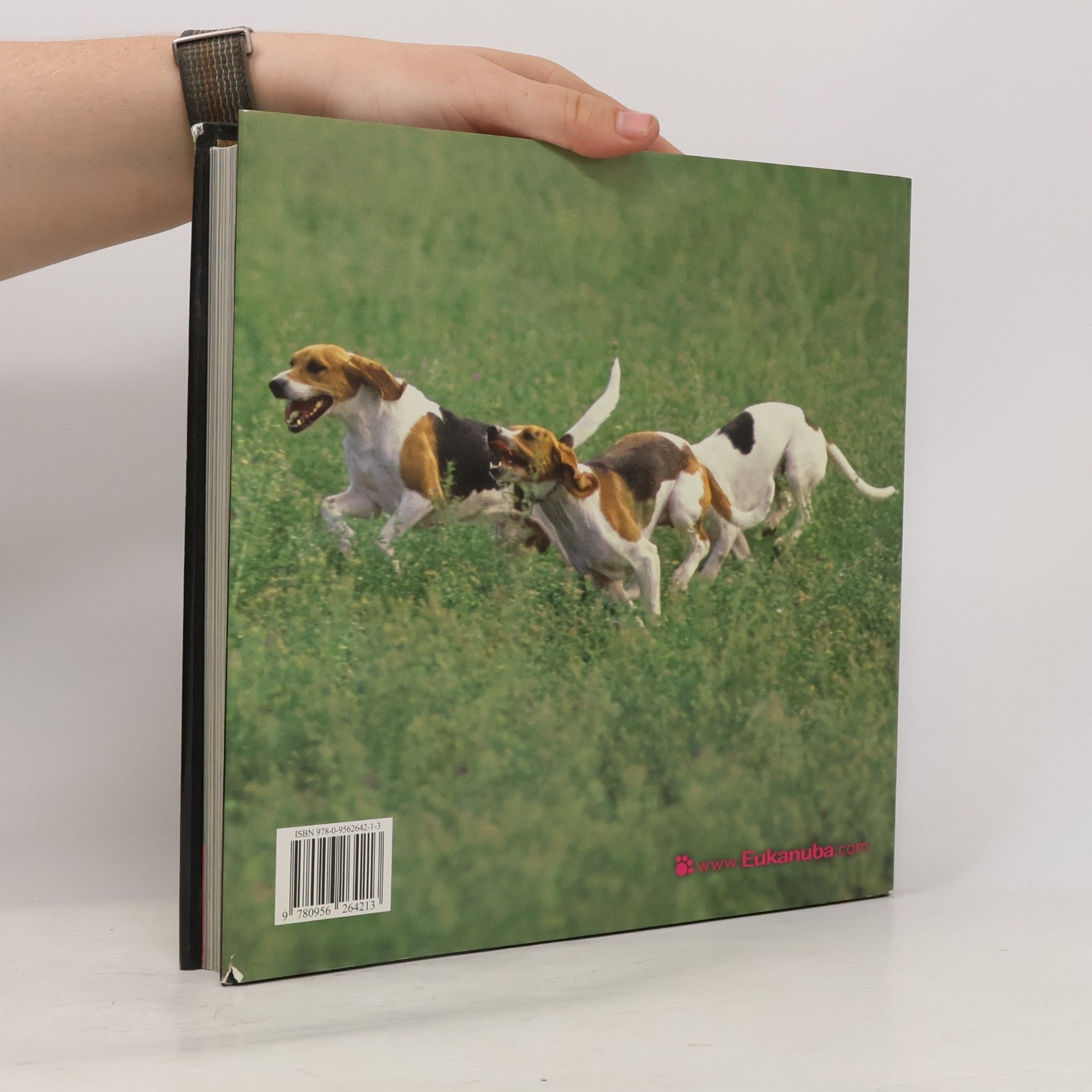 Auteurscollectief Dogs A-G: hunde chiens cani perros honde