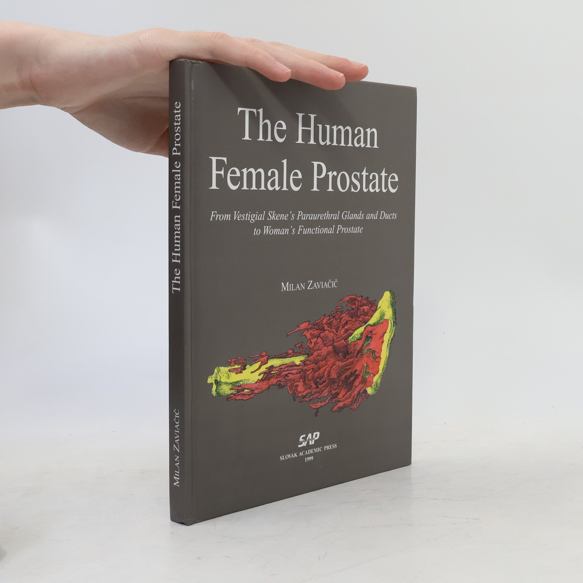 Milan Zaviačič The Human Female Prostate