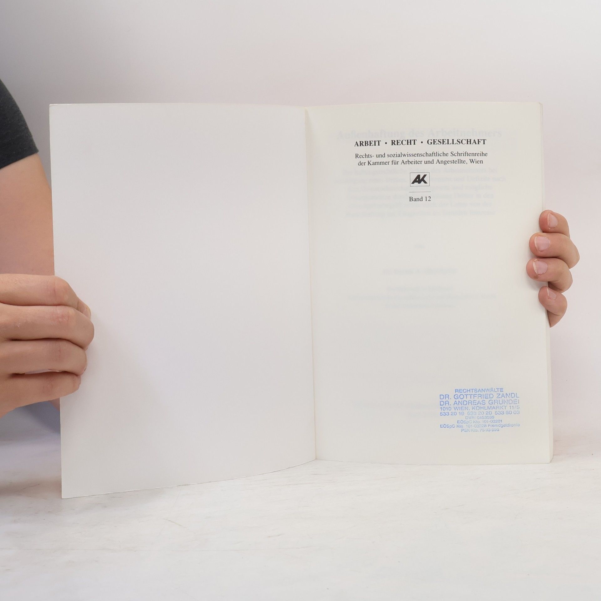 Bernd A. Oberhofer Schriftenreihe Arbeit • Recht • Gesellschaft - 12: Außenhaftung des Arbeitnehmers