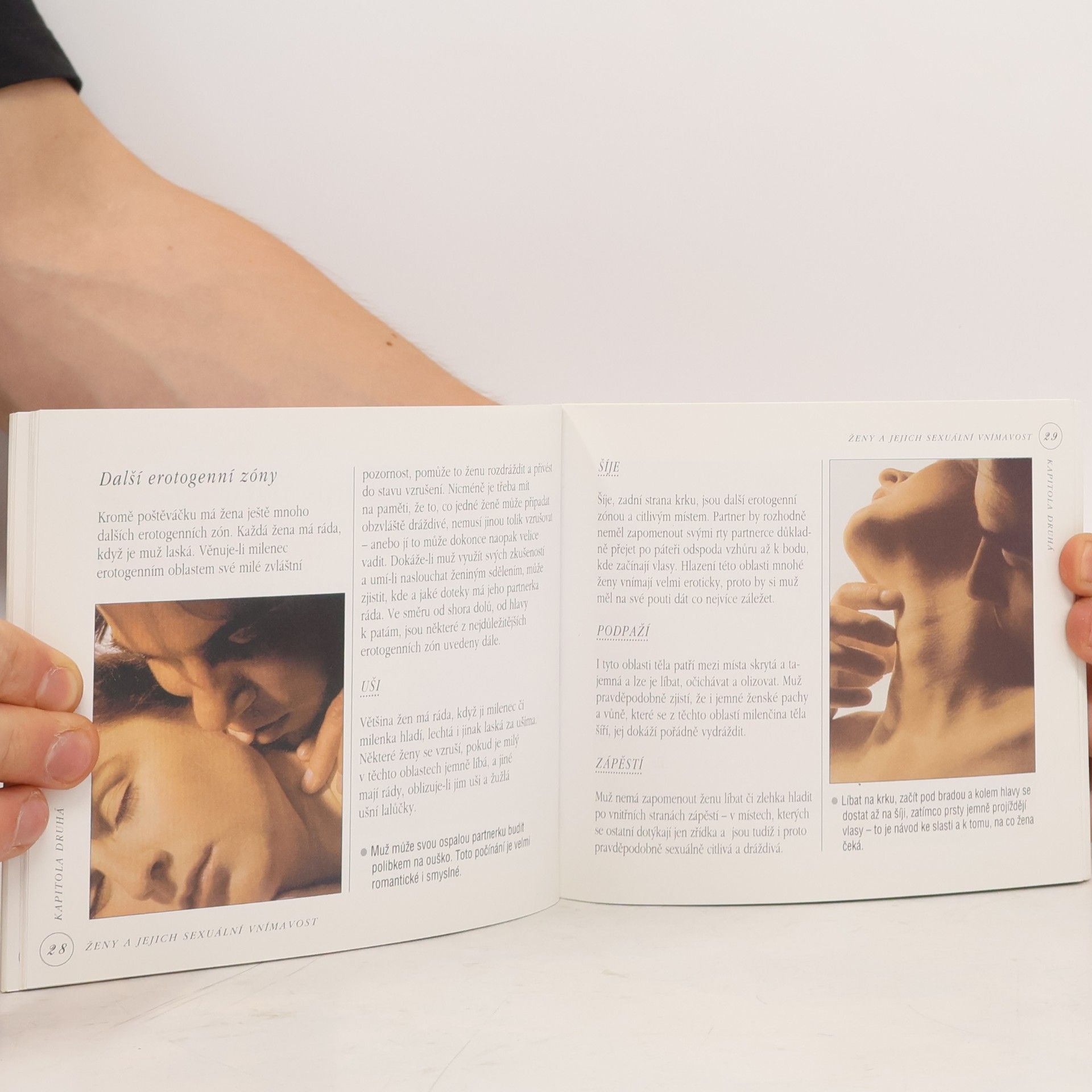 David Delvin Sex do kapsy